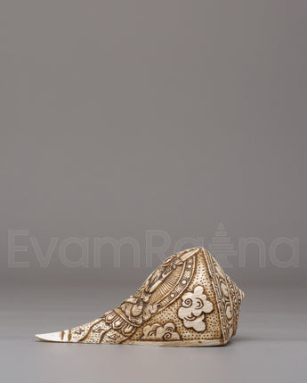 Conch With Deity Design