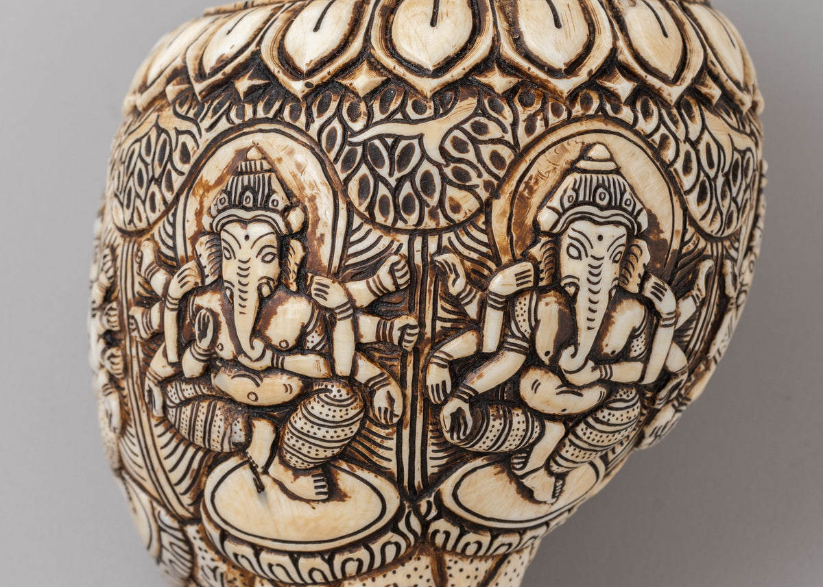 Himalayan Sacred Conch | Tibetan Ritual Conch Shell