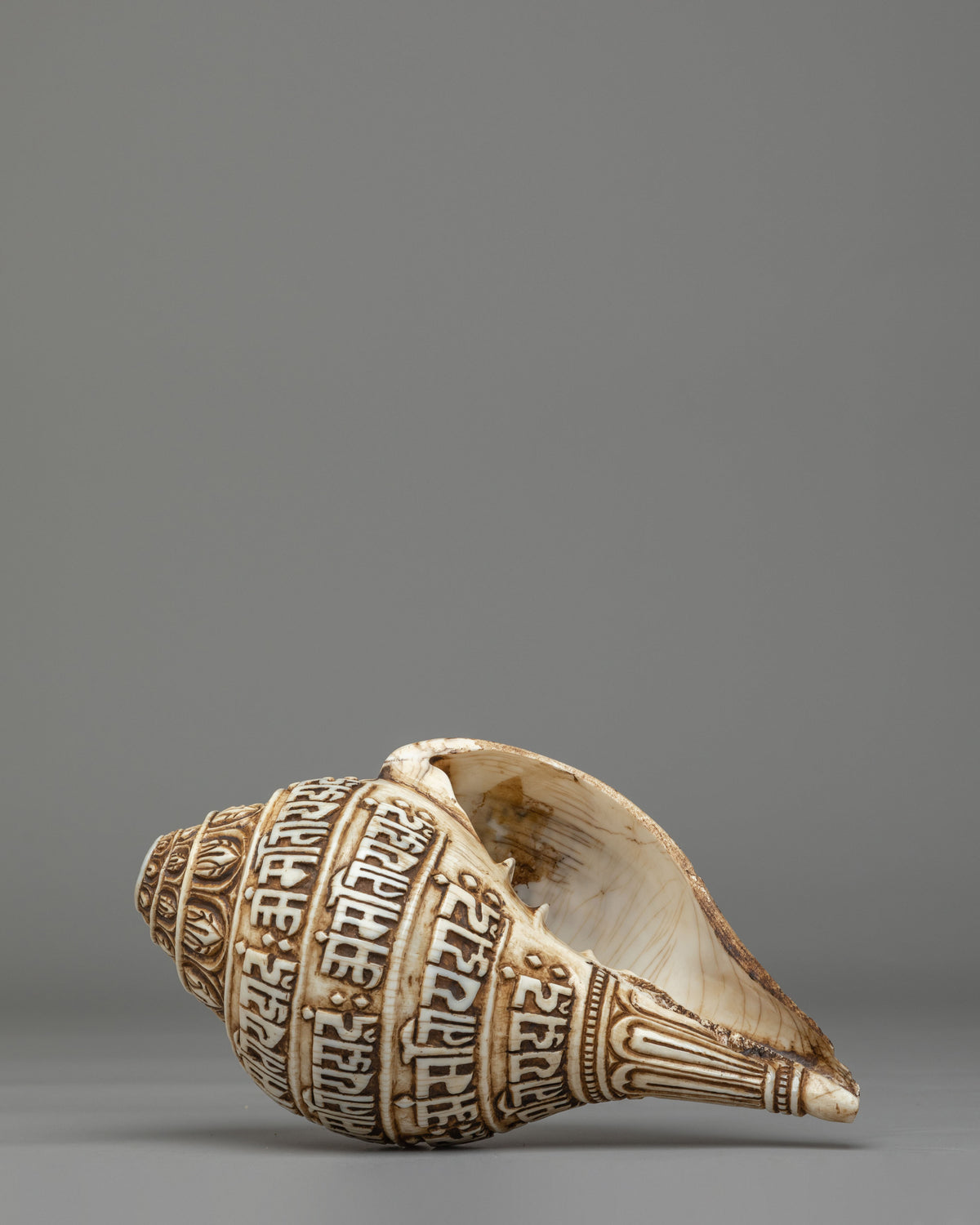 Sacred Mantra Conch | Handcrafted Tibetan Ritual Item