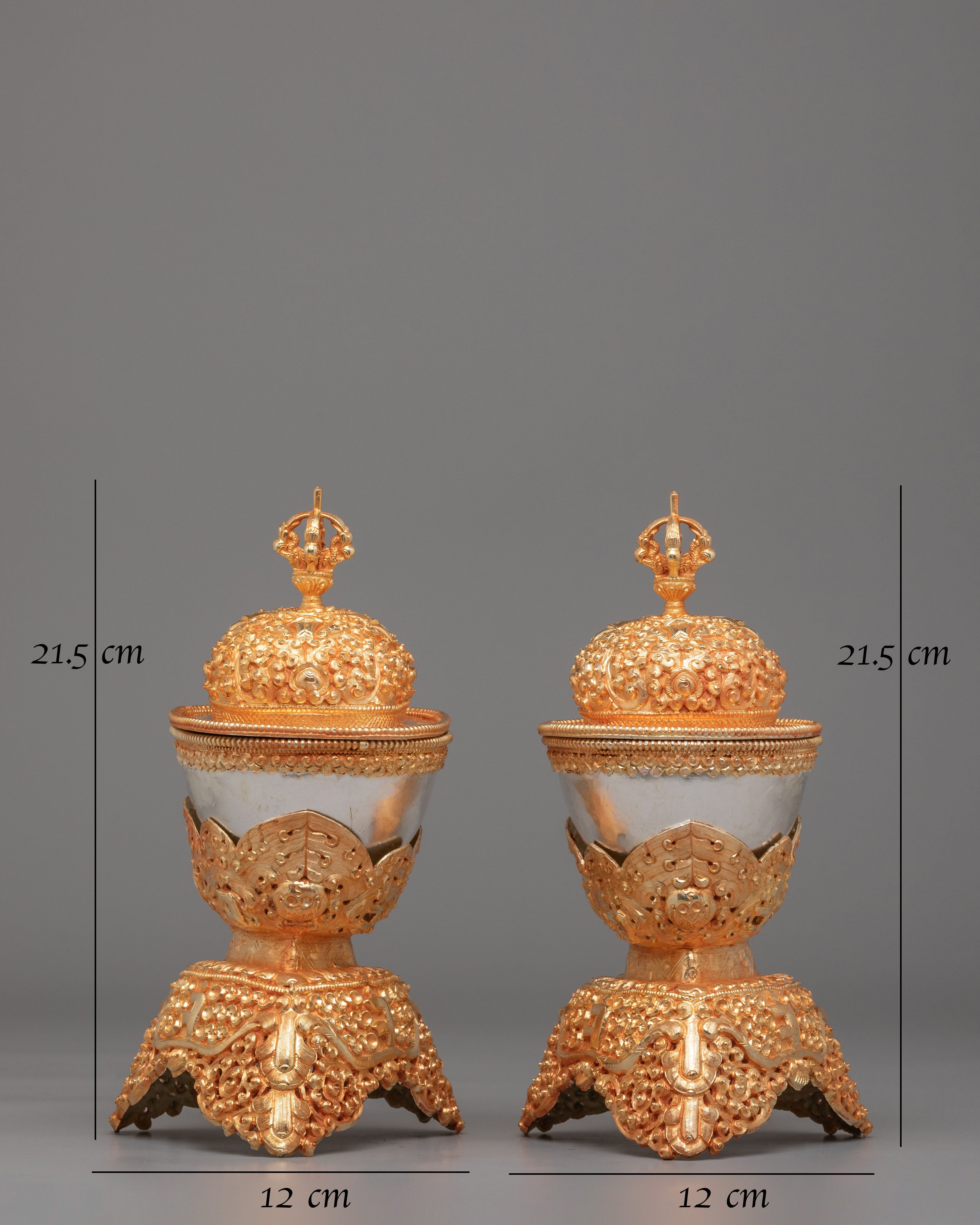 Handcrafted Kapala Skull Cup Set | Ritual Tools for Tantric Practices