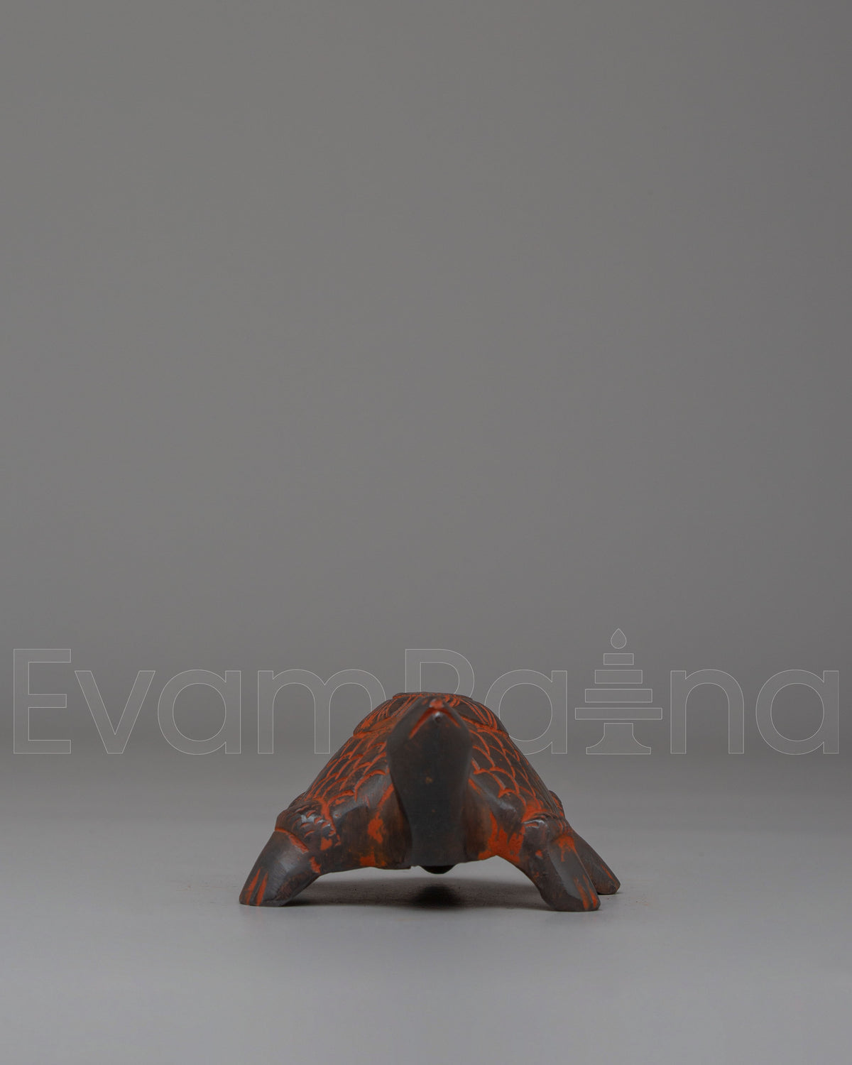Traditional Turtle