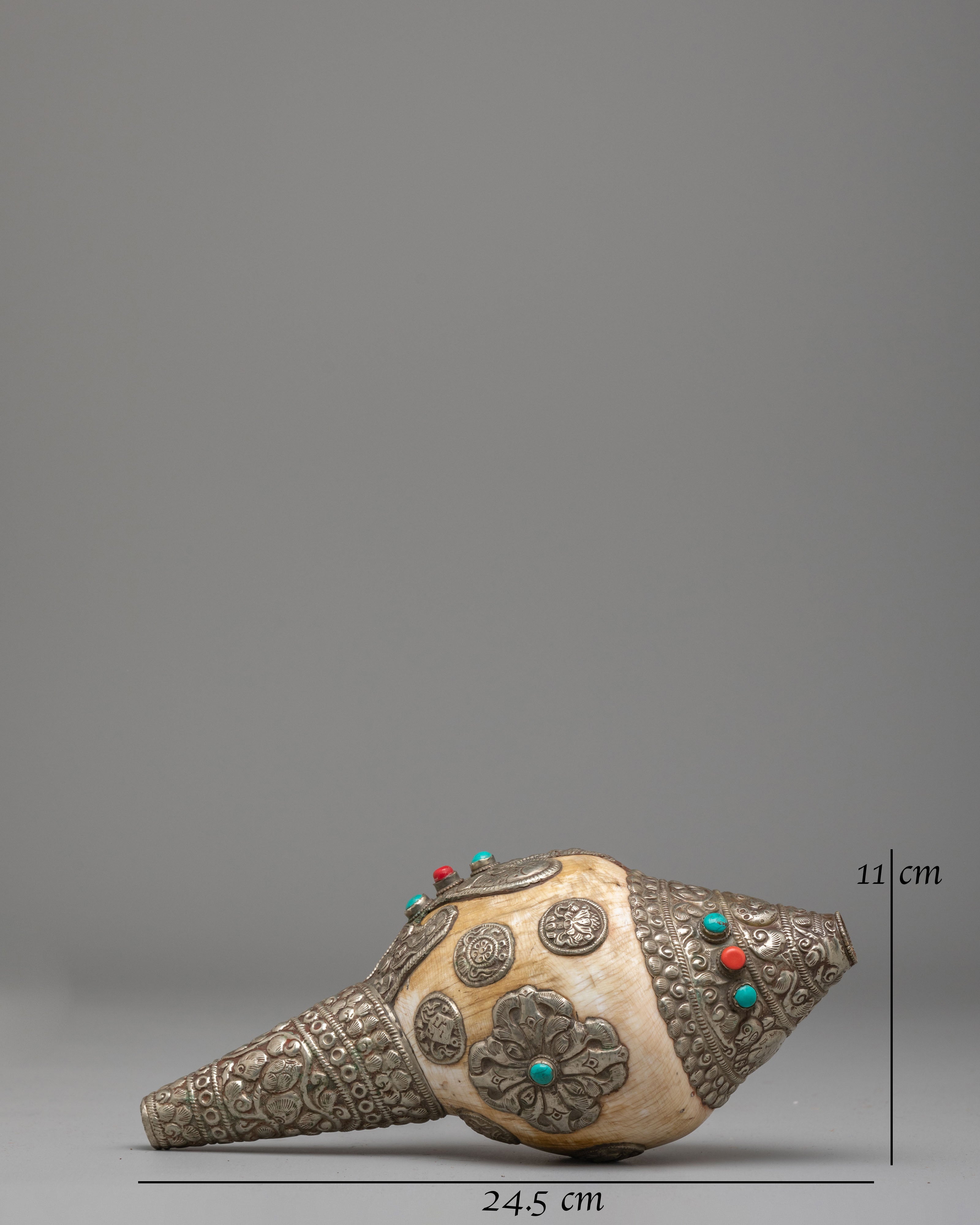 Sacred Dharma Conch Shell | Symbol of Spiritual Awakening