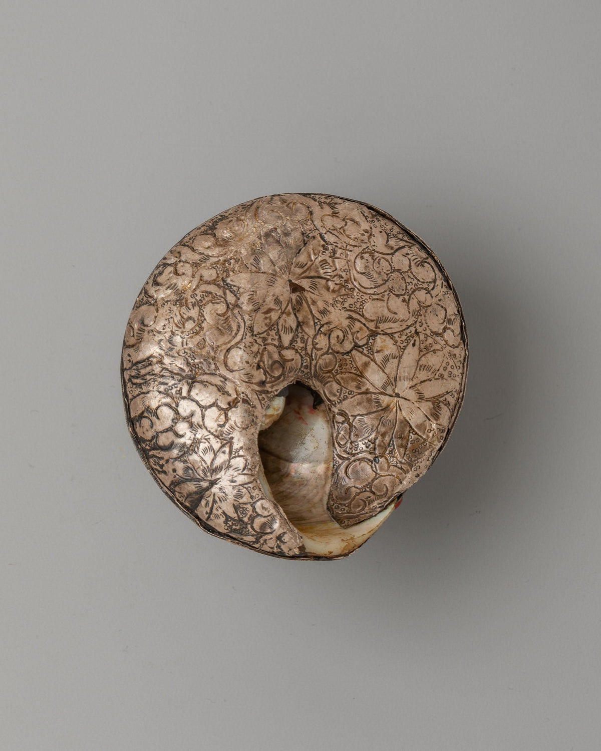 Himalayan Dharma Conch Shell | Silver Covered Buddhist Ritual Instrument