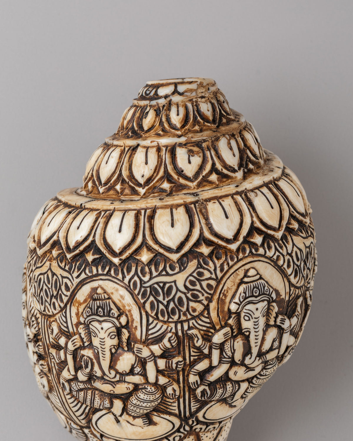 Himalayan Sacred Conch | Tibetan Ritual Conch Shell