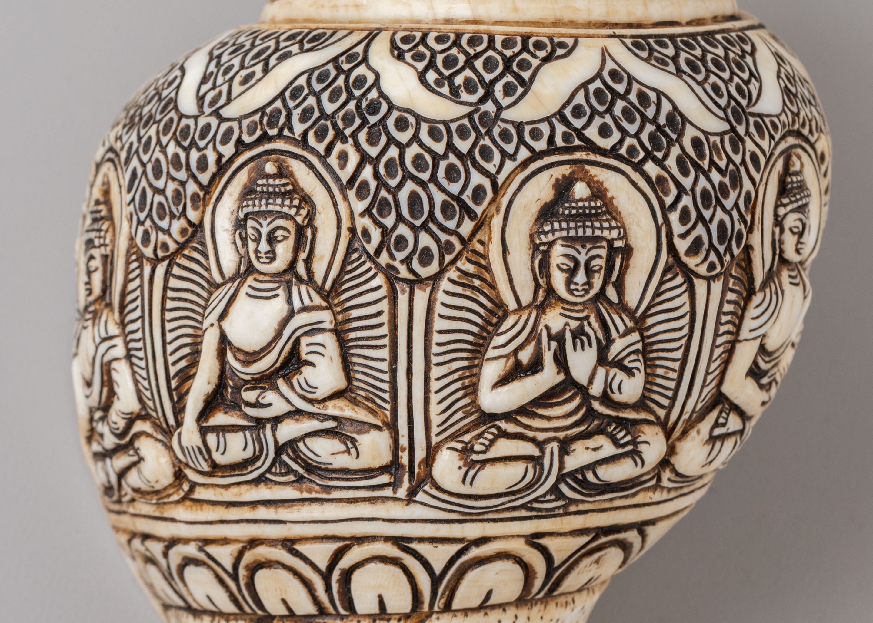 Himalayan Buddhist Conch | Symbol of Dharma and Enlightenment