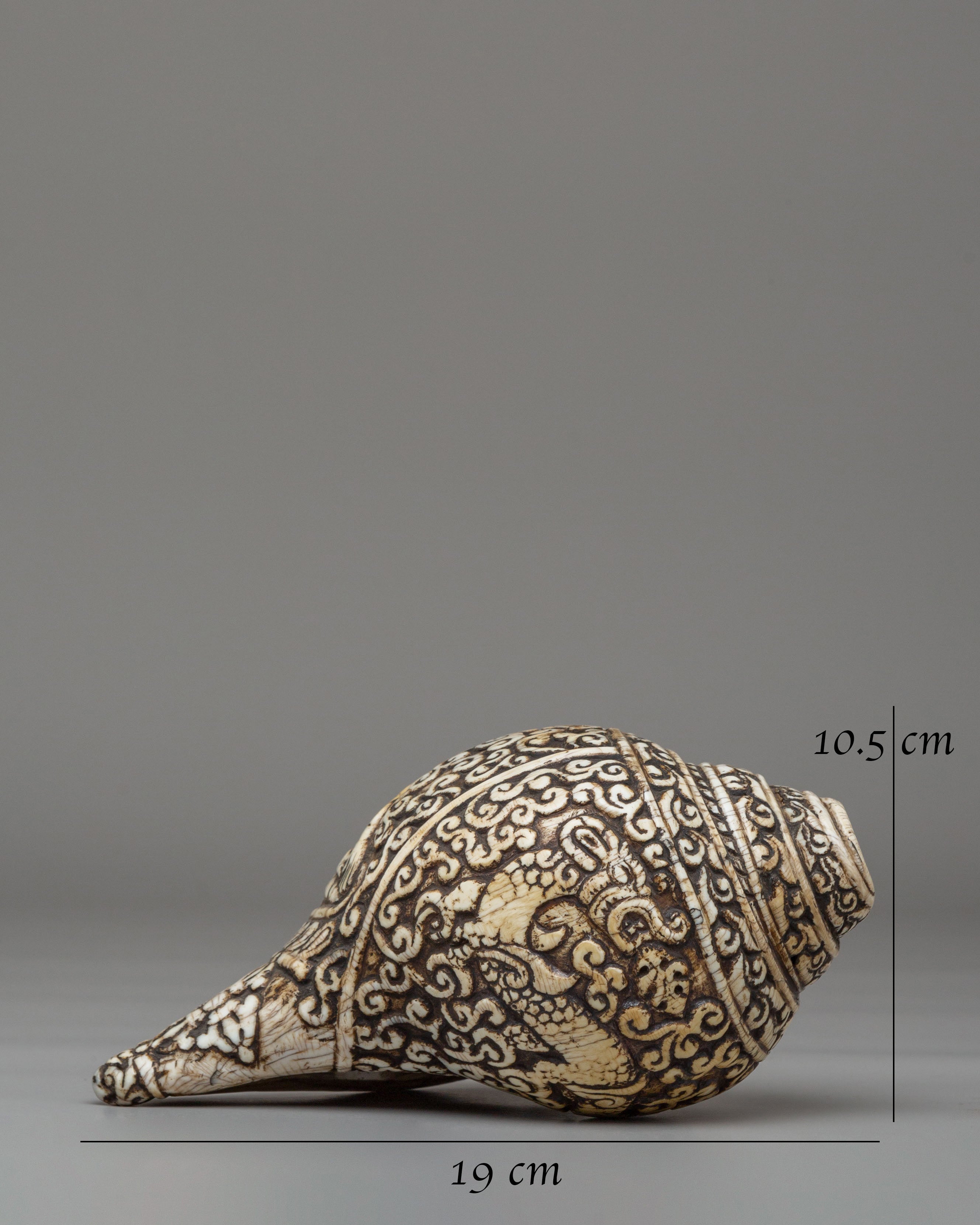 Spiritual Shakyamuni Buddha Conch | Sacred Symbol of Enlightenment