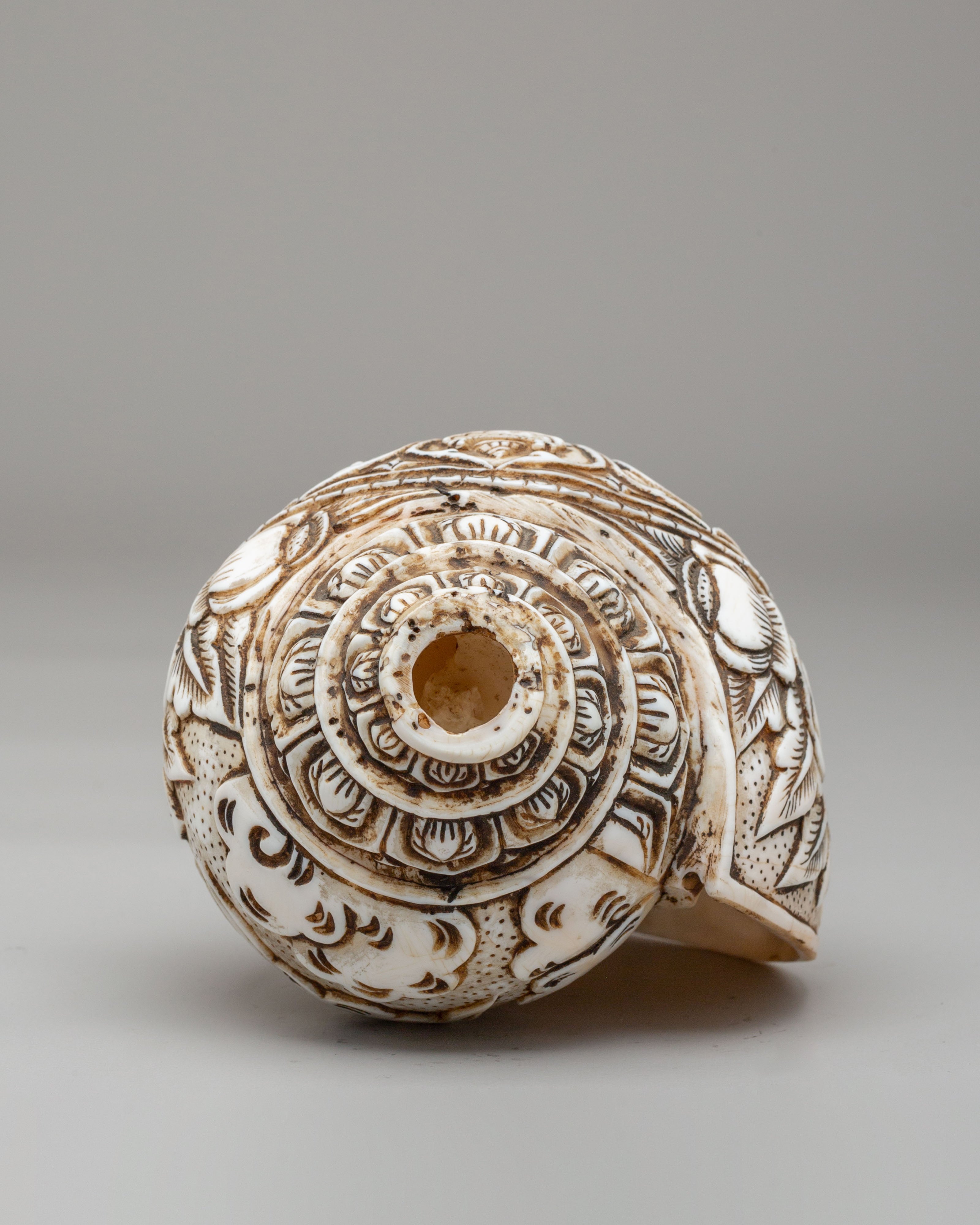 Auspicious Symbol Carved Conch | Perfect for Meditation & Spiritual Practices