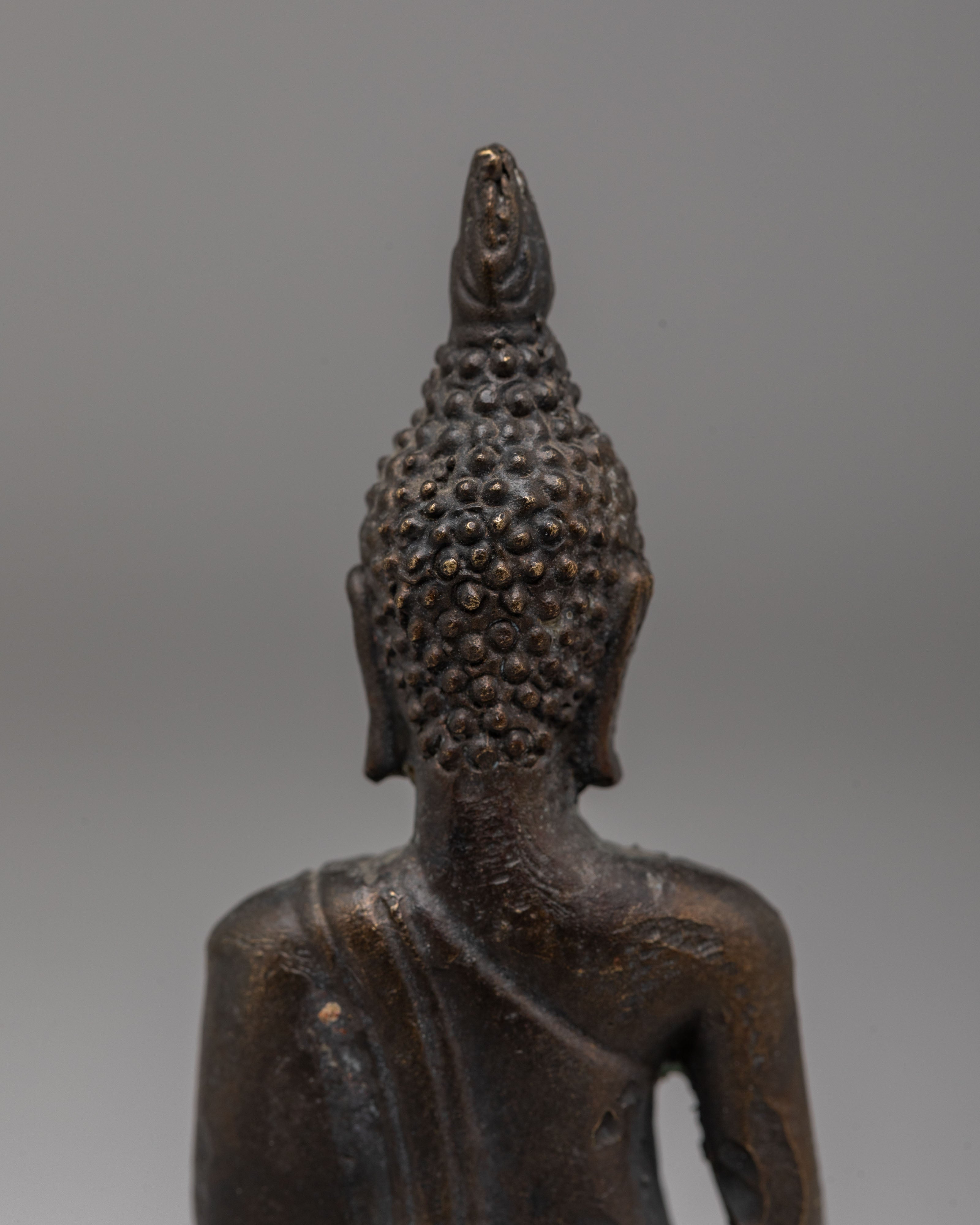 Shakyamuni Buddha Deity Statue | Enlightened One Sculpture