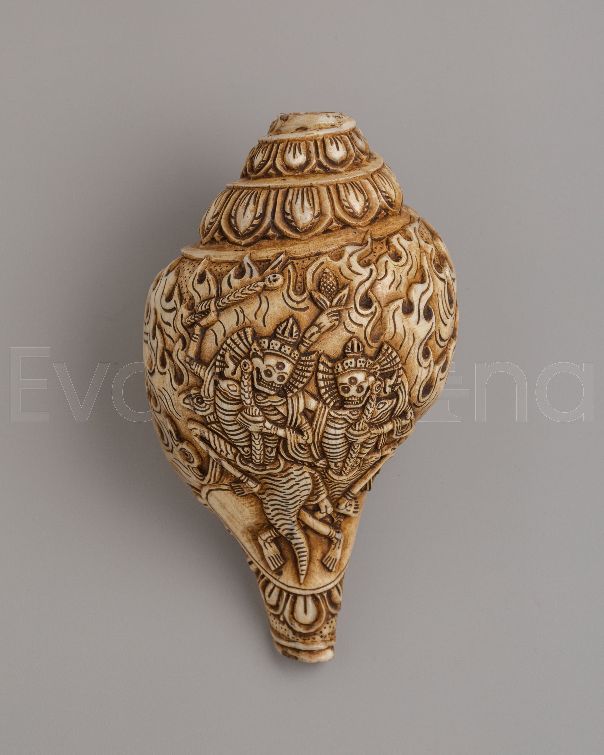 Spiritual Chittipati Conch
