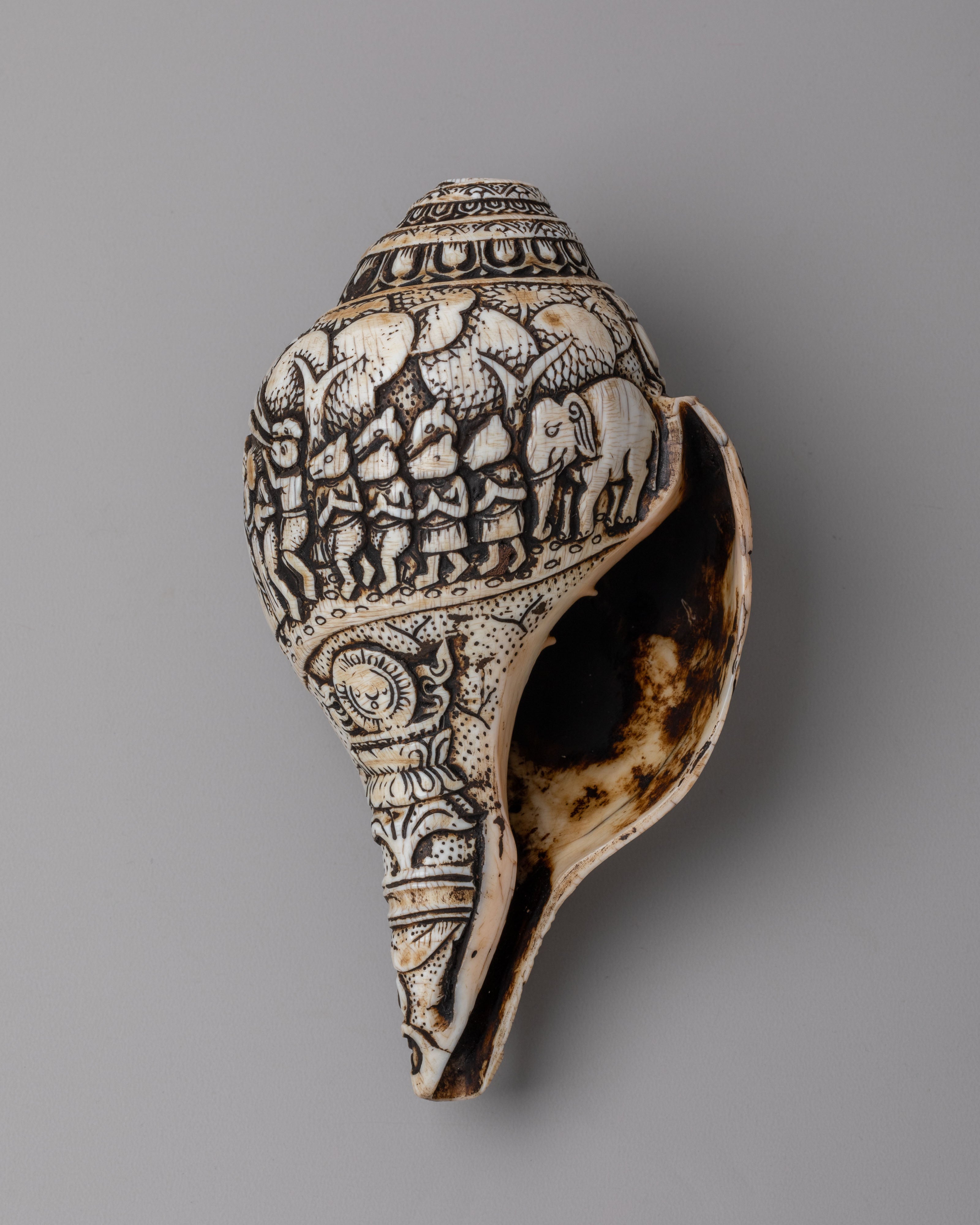 Sacred Buddhist Conch | Buddhist Ritual Object