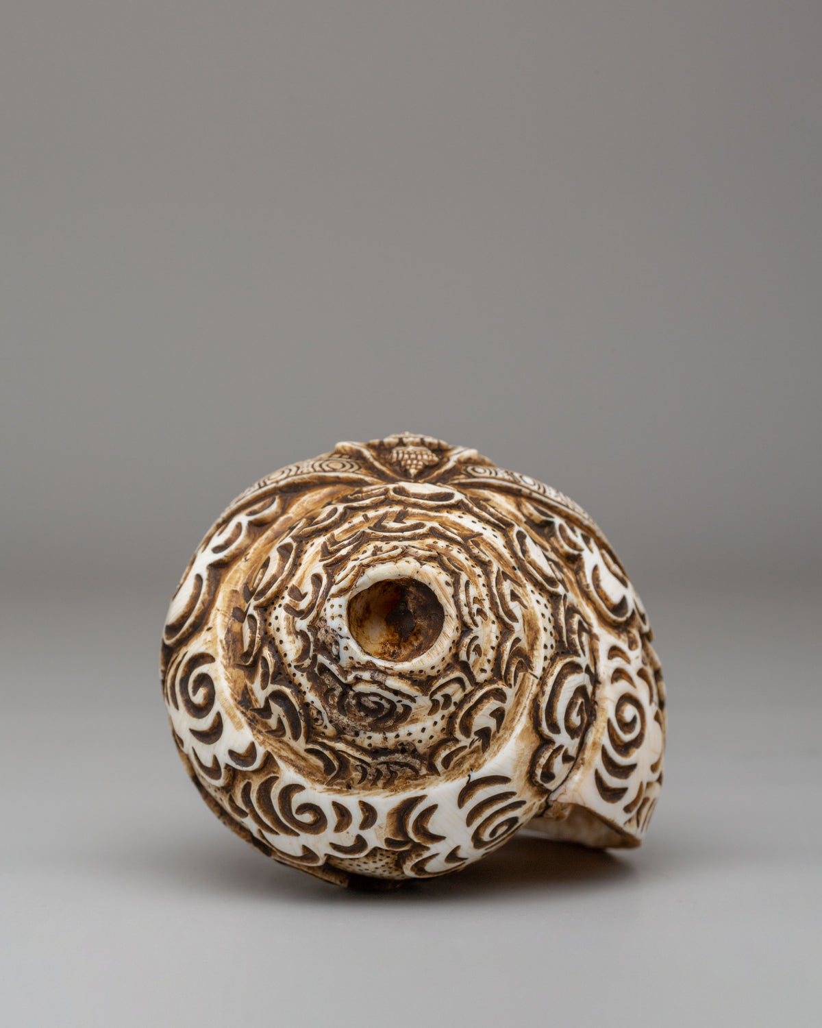1000 Armed Conch With Stand | Sacred Chenrezig Conch for Spiritual Practice
