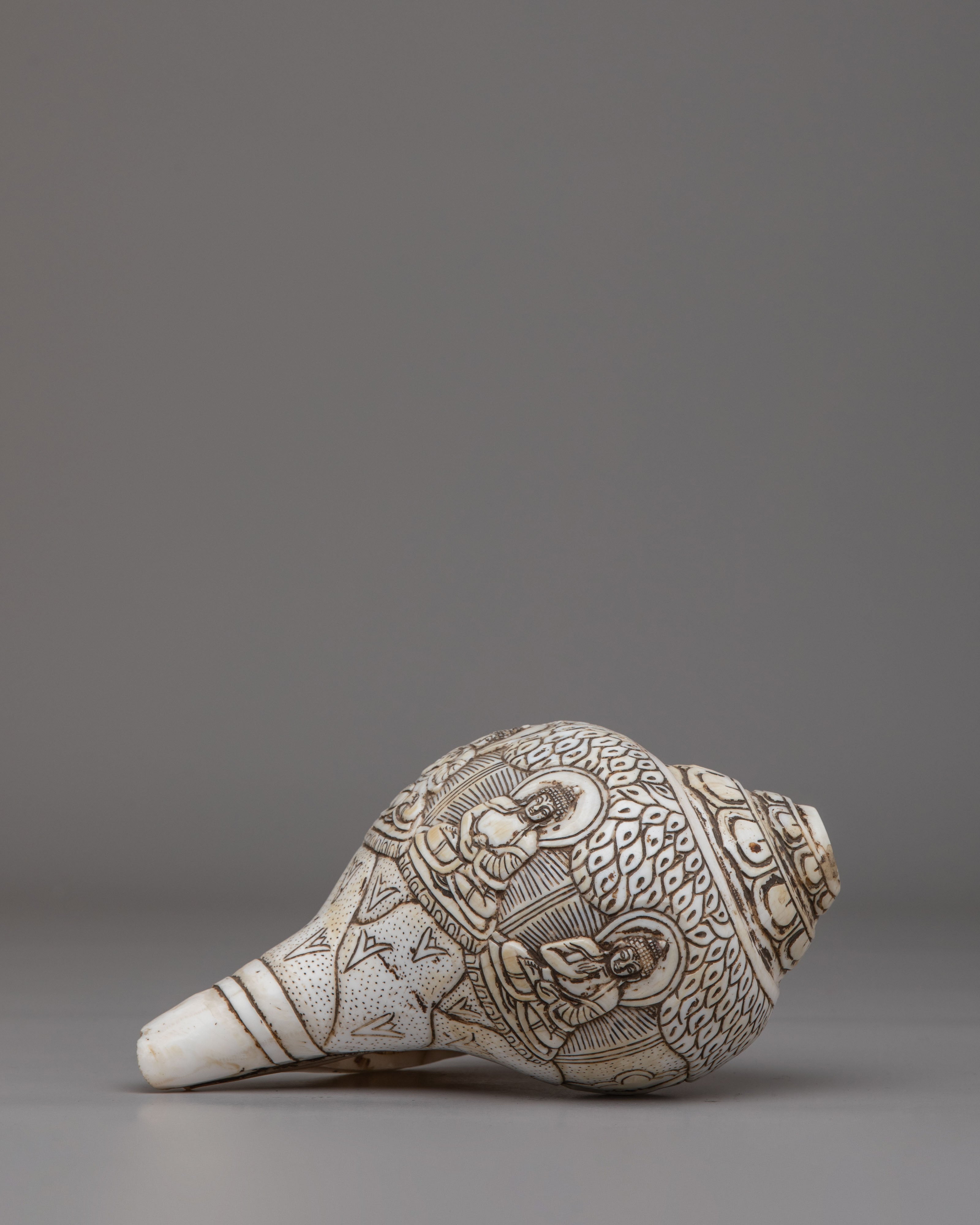 Dhyani Buddha Engraved Conch | Perfect for Rituals