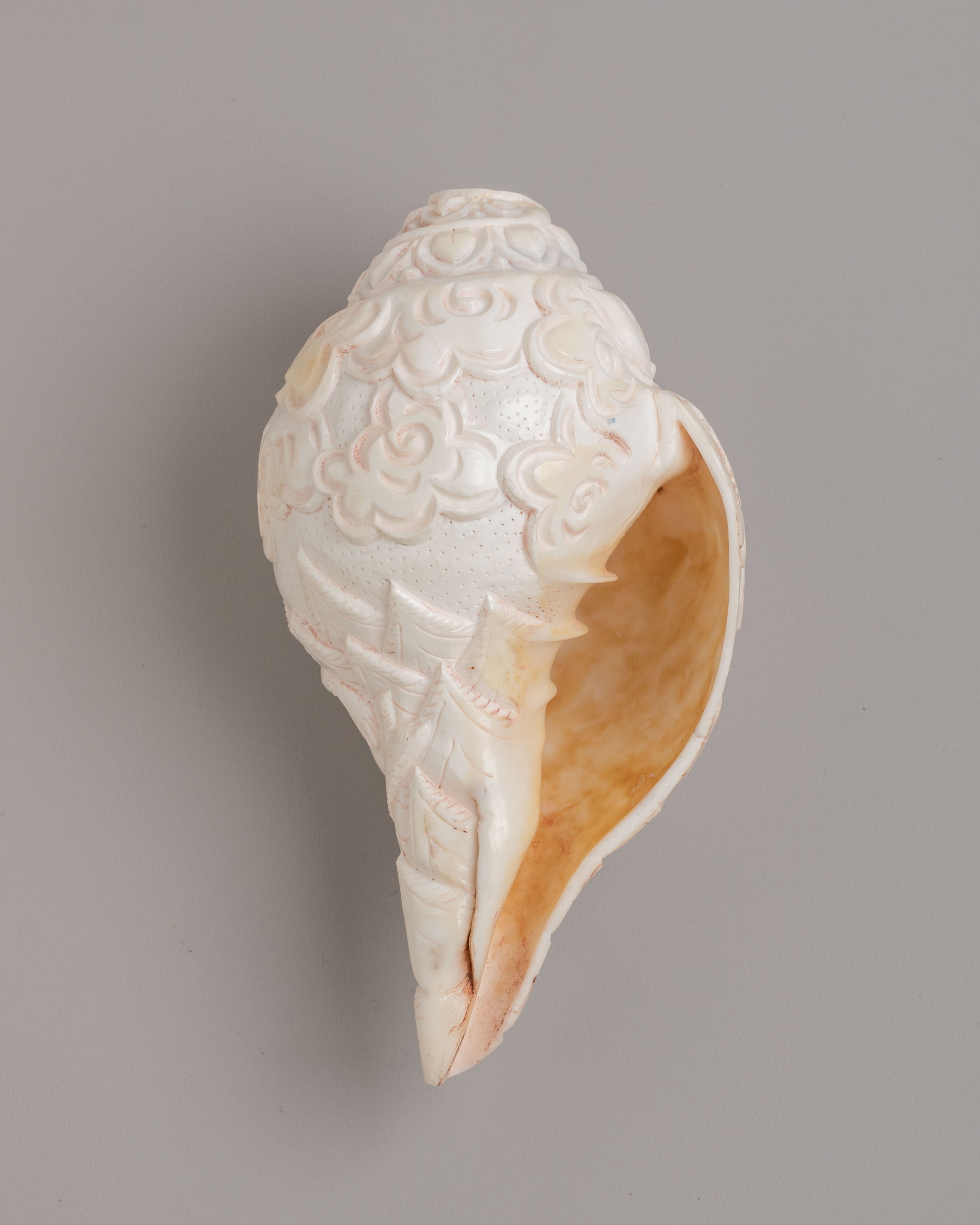 Lord Shiva Ritual Conch Shell | Spiritual Home Decor