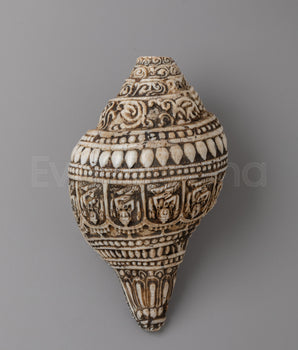 Hand Carved Tibetan Conch Shell