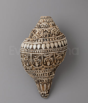 Hand Carved Tibetan Conch Shell