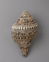 Hand Carved Tibetan Conch Shell