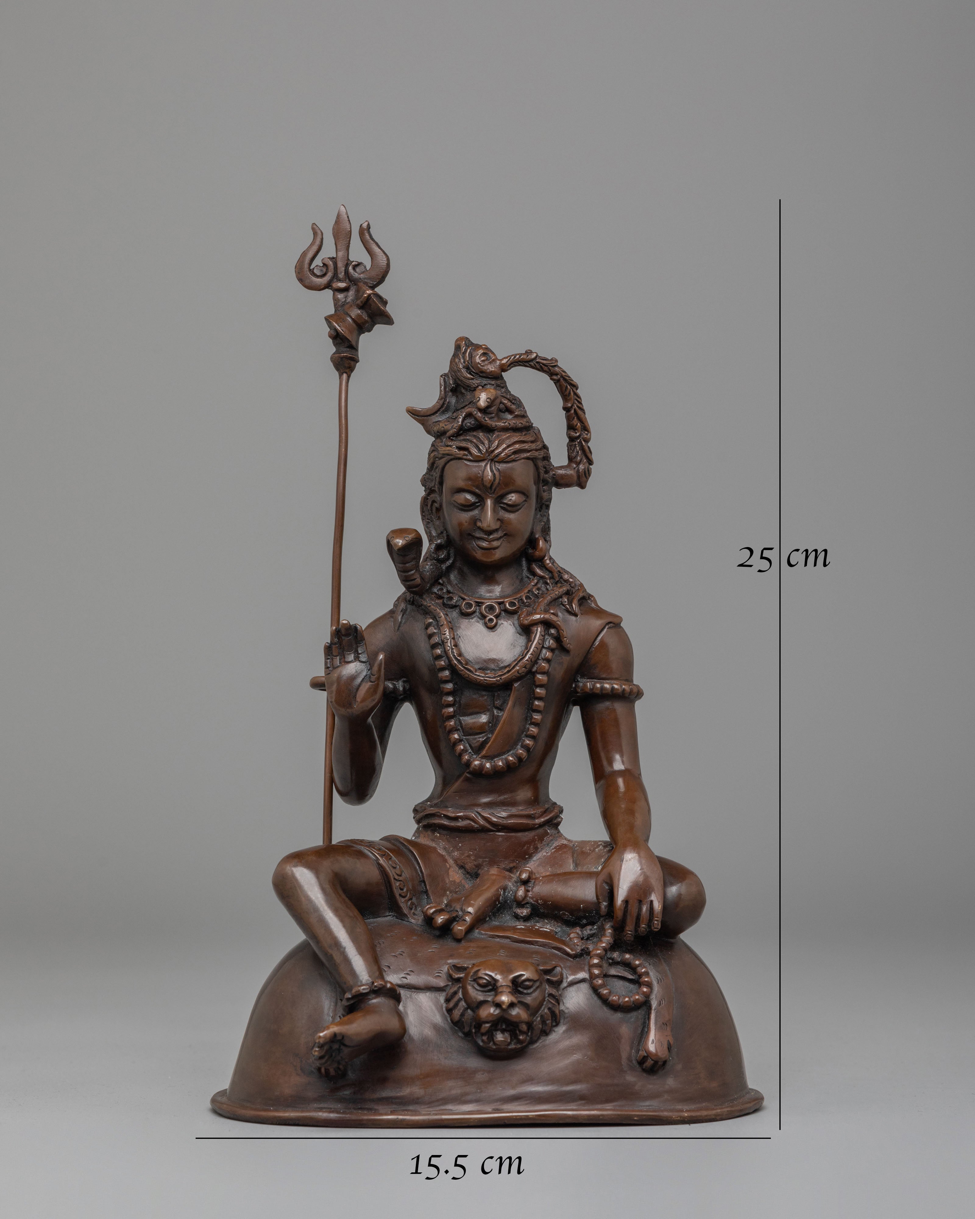 Spiritual Hindu Deity Shiva Statue | Oxidized Copper Body with Intricate Details