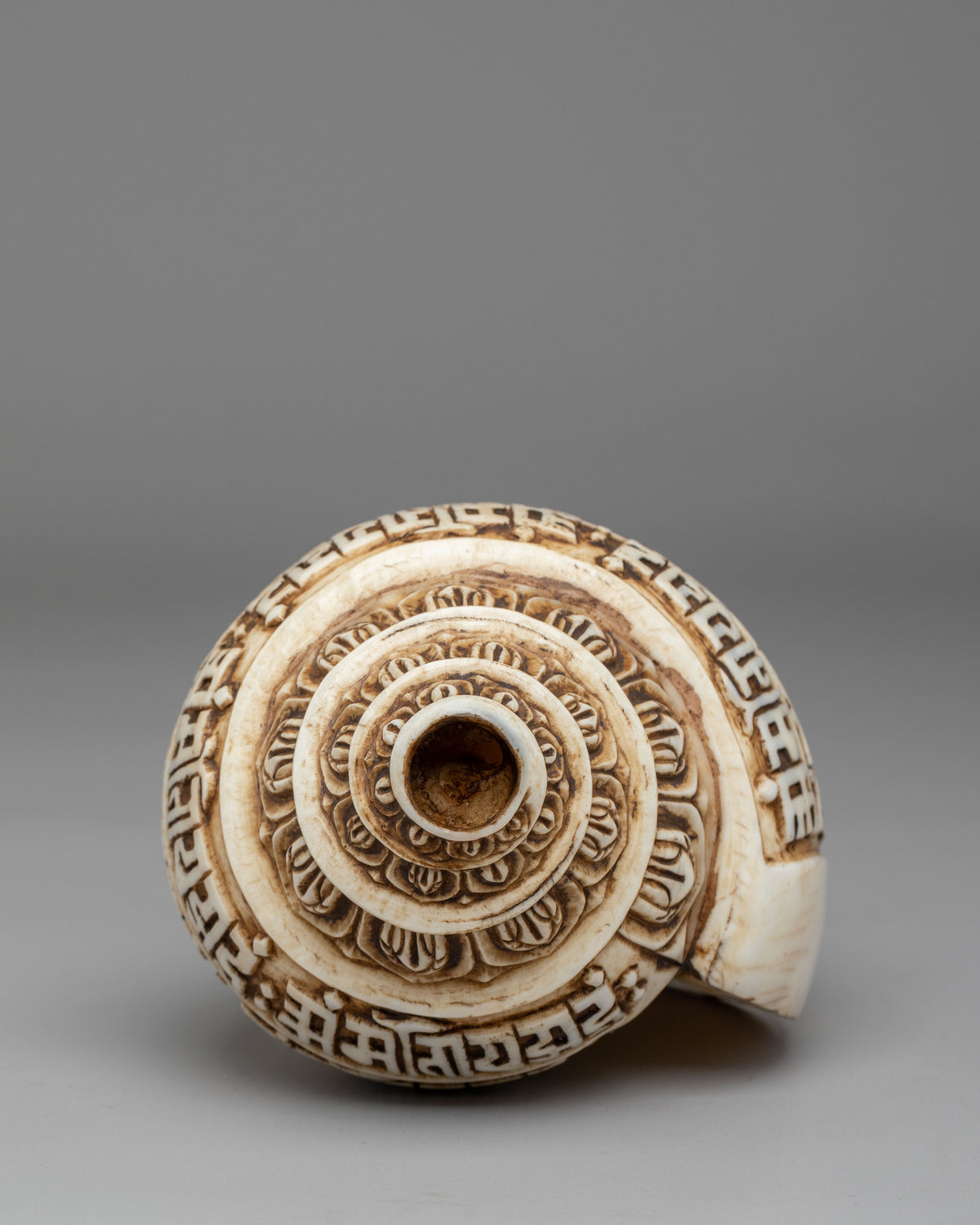 Sacred Mantra Conch | Handcrafted Tibetan Ritual Item