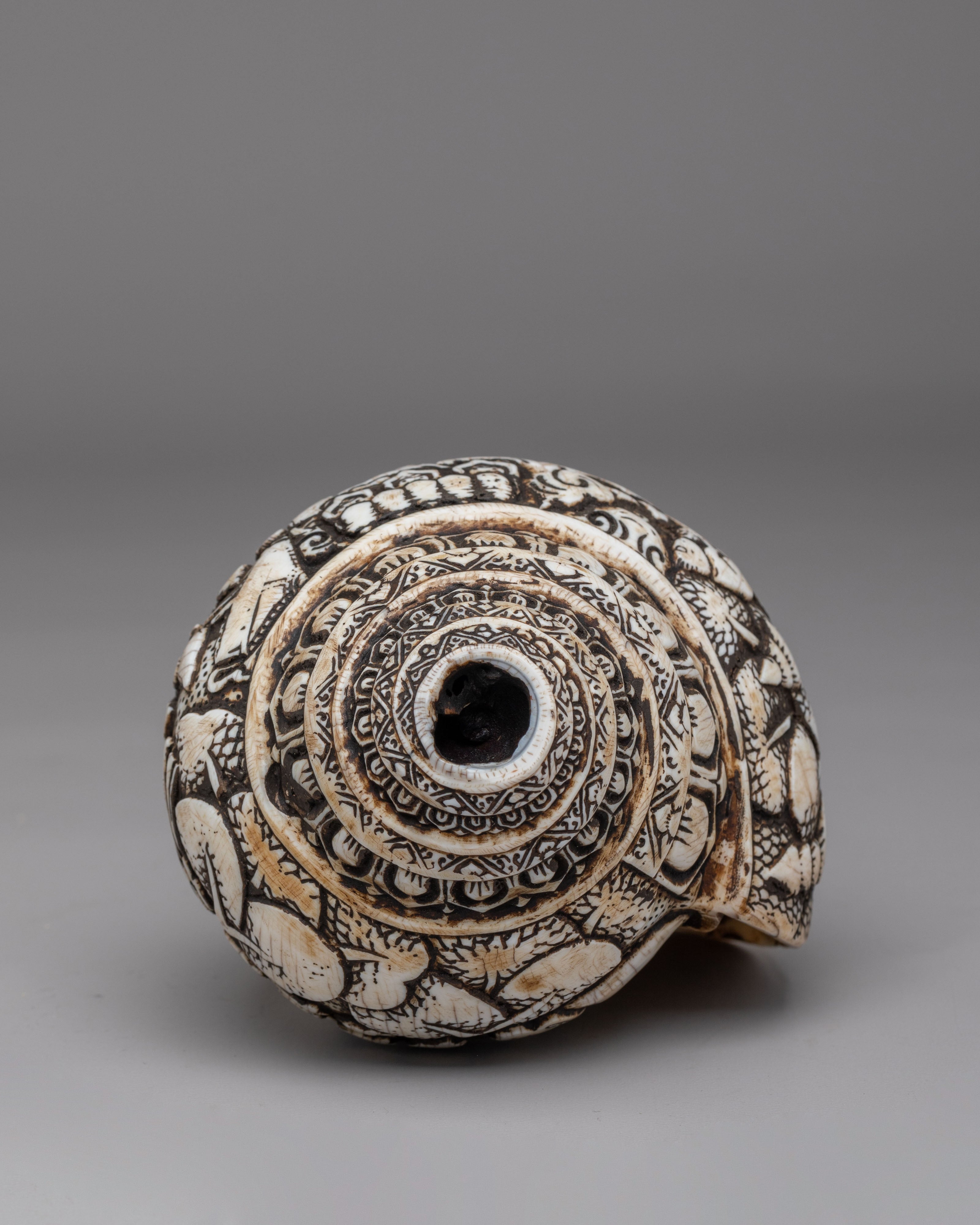 Sacred Buddhist Conch | Buddhist Ritual Object