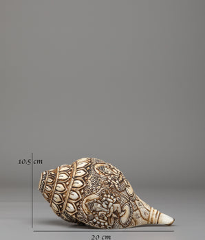 Himalayan Sacred Conch | Tibetan Ritual Conch Shell