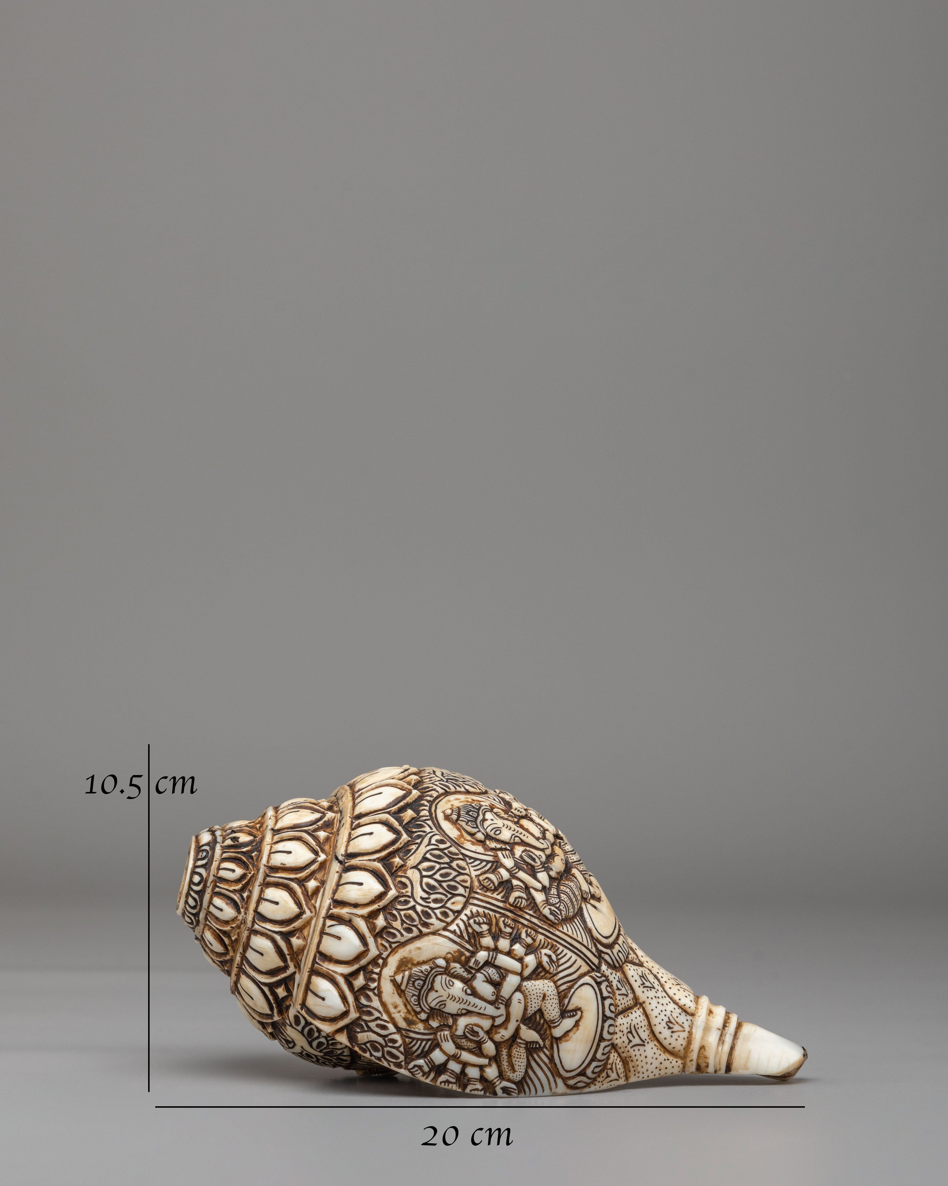 Himalayan Sacred Conch | Tibetan Ritual Conch Shell