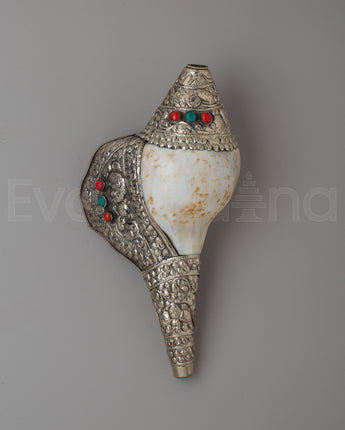 Conch 
