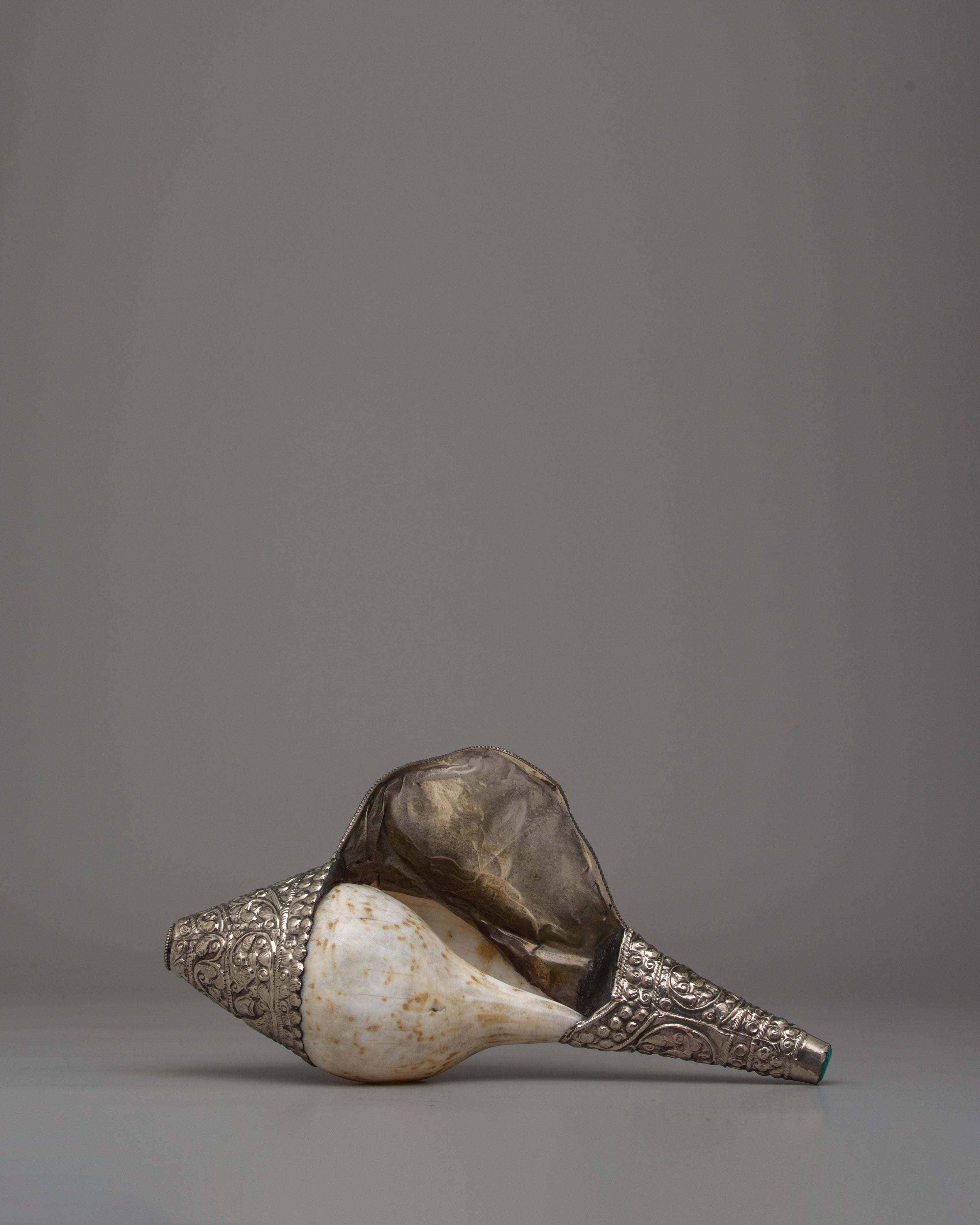Ceremonial Conch Shell for Spiritual Practice | Dharma Shell