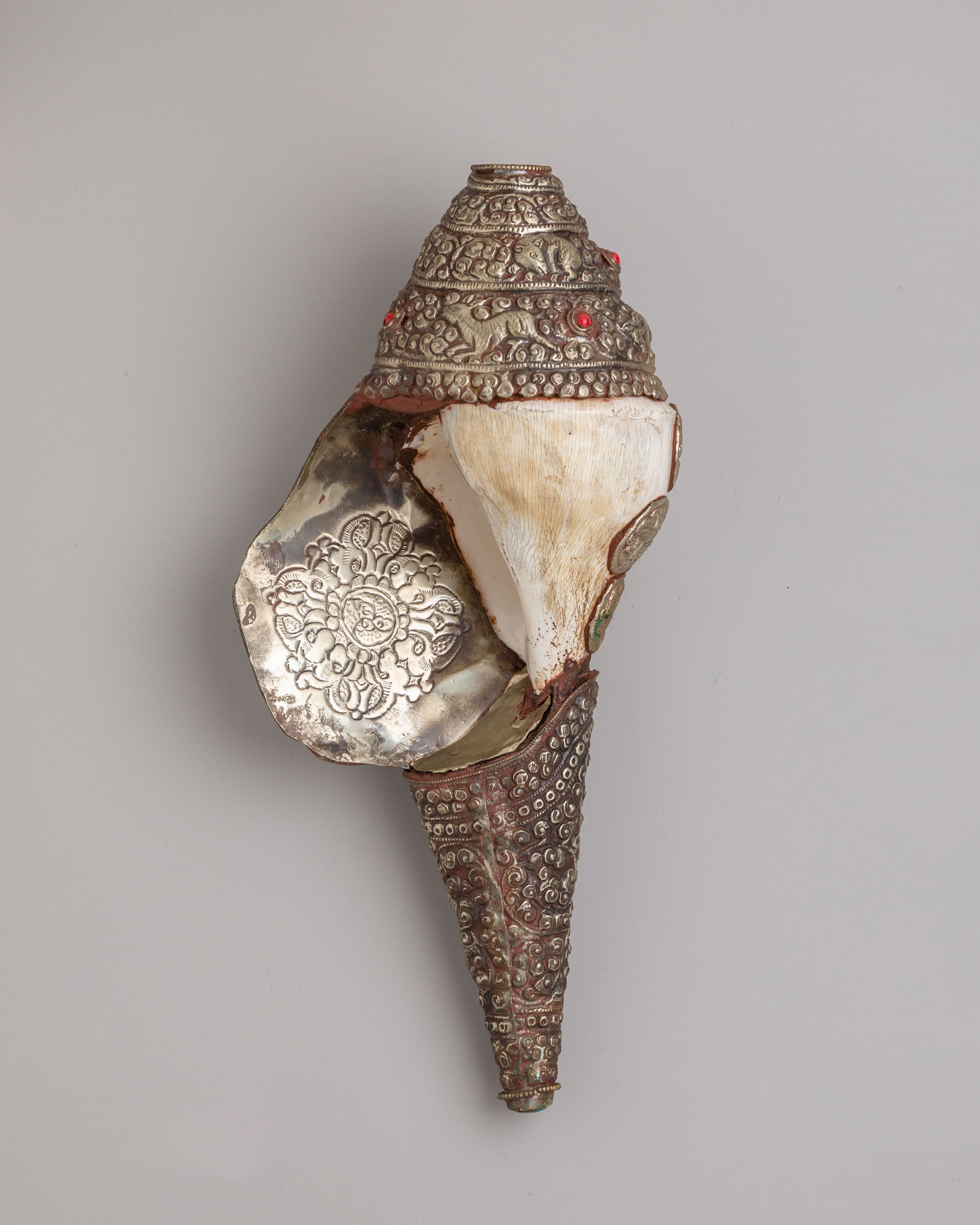 Himalayan Conch Shell | Buddhist Altar Decor