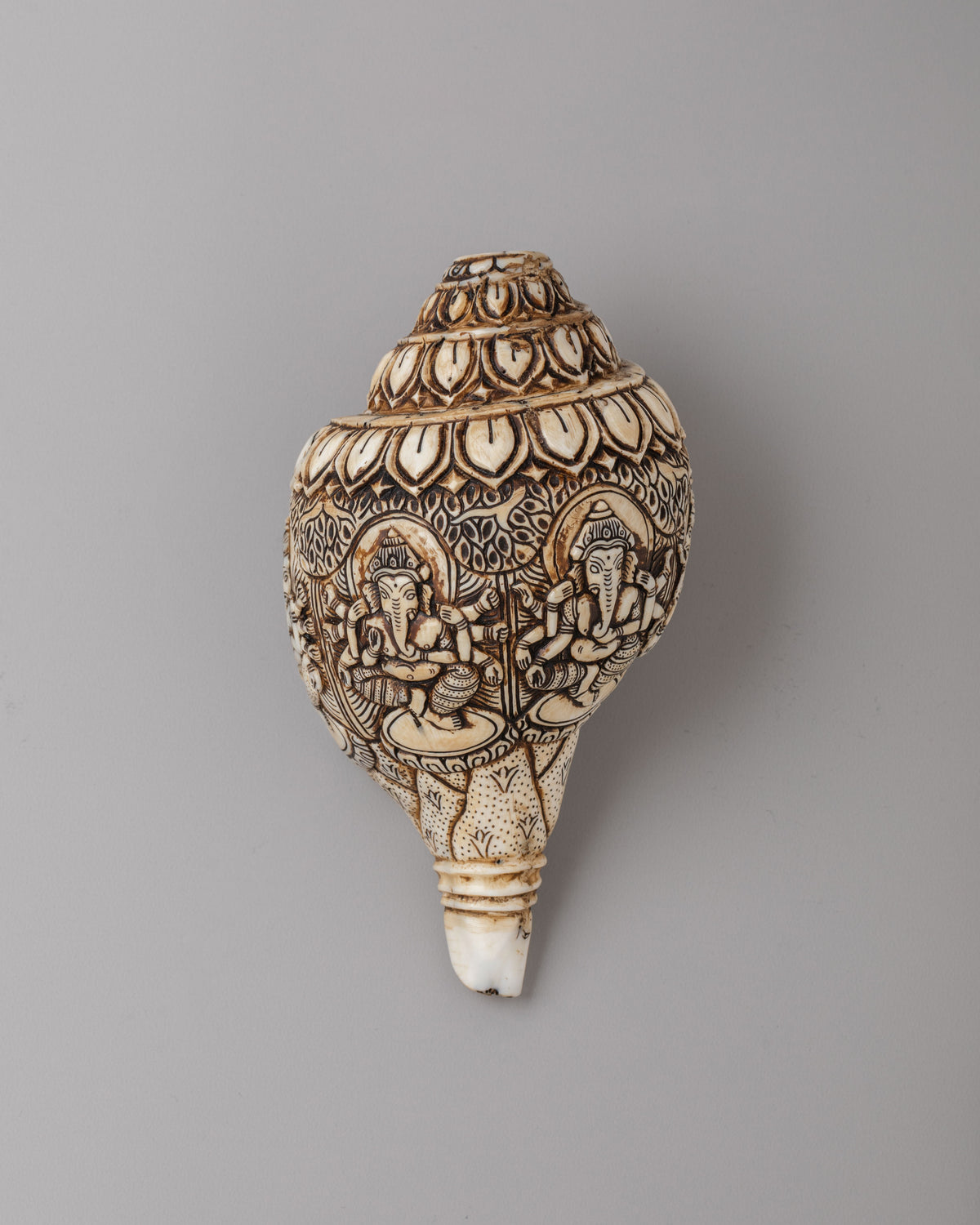 Himalayan Sacred Conch | Tibetan Ritual Conch Shell