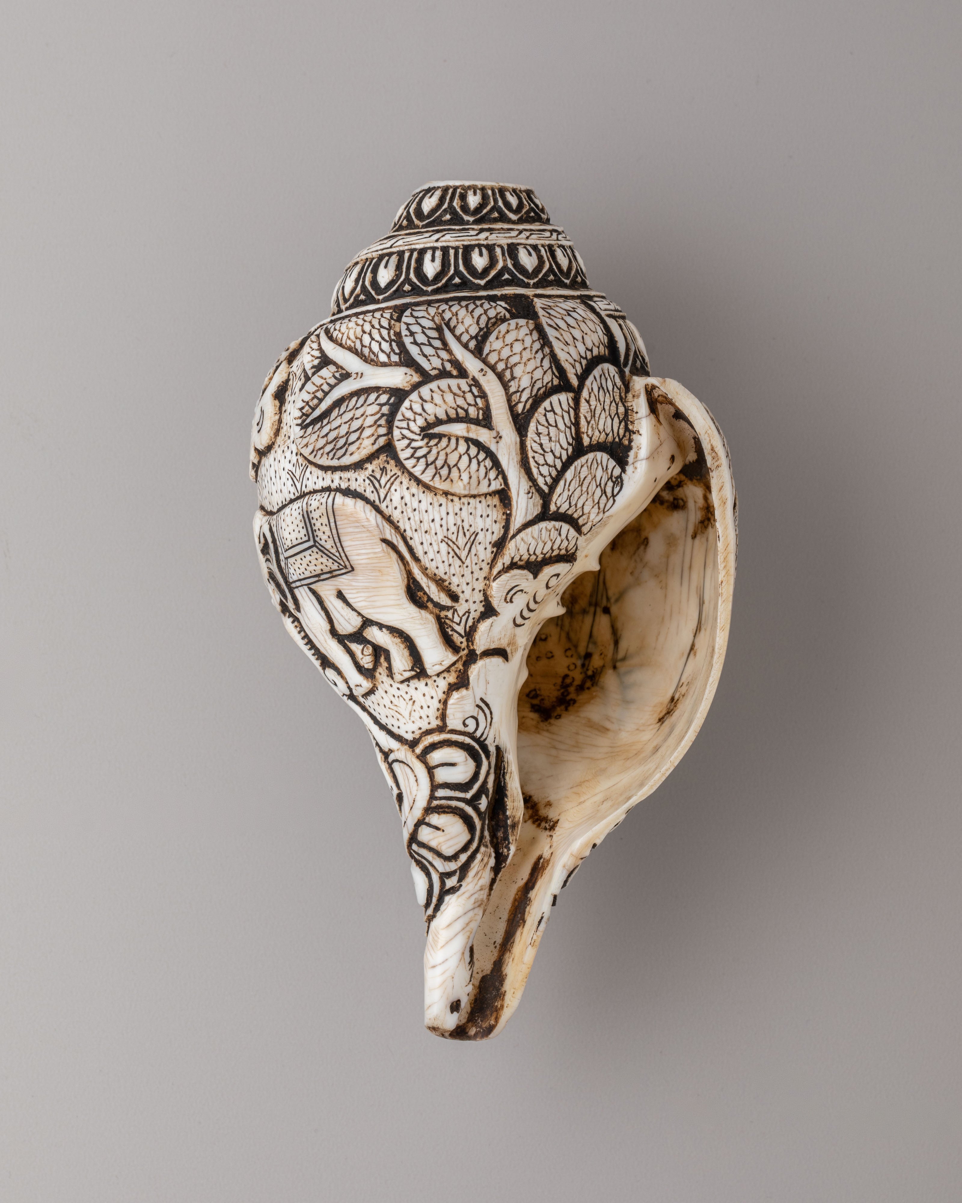 Handcrafted Conch for Ritual | Spiritual Decor