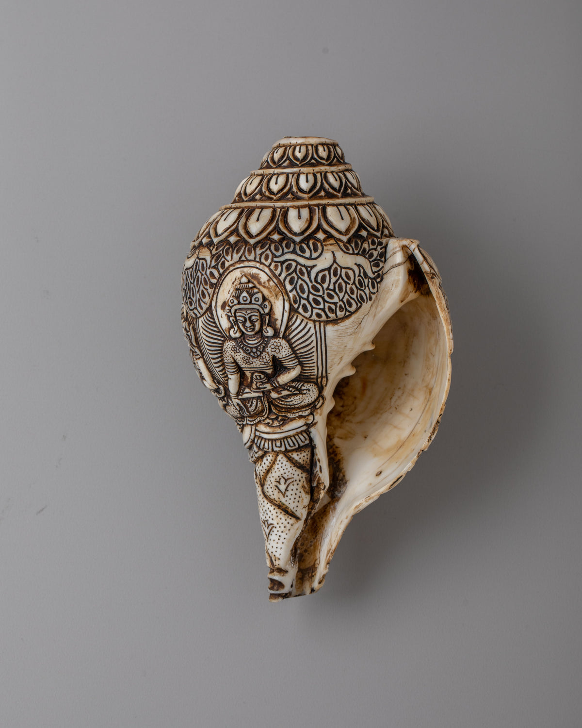 Tibetan Buddhist Sacred Conch | Meditation Tool