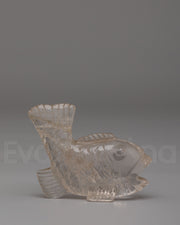 Decorative Fish