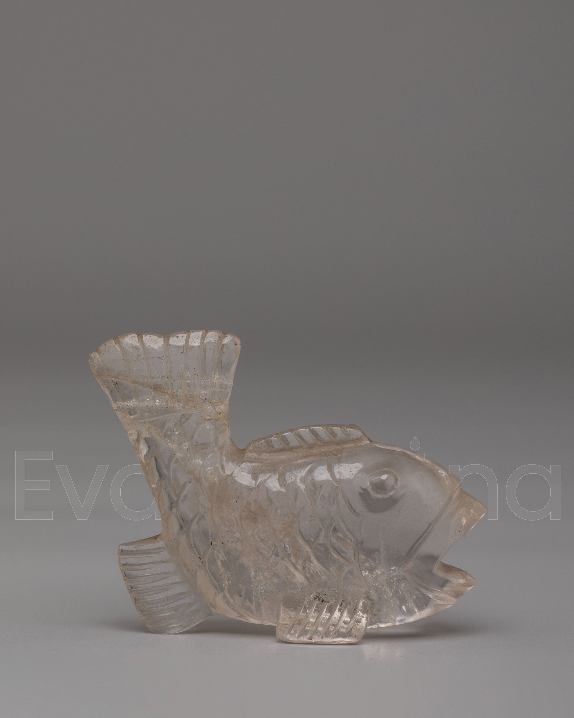 Decorative Fish