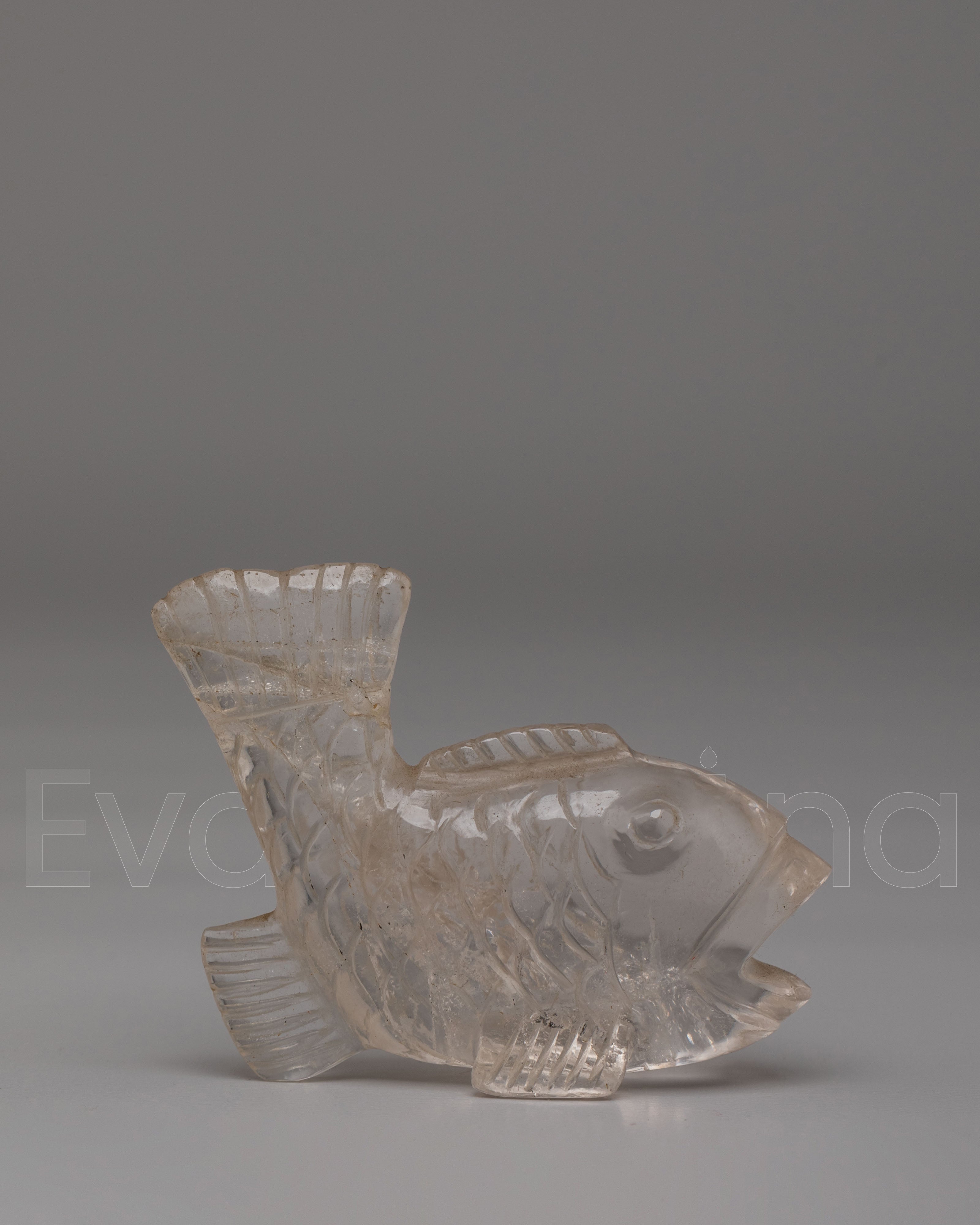 Decorative Fish