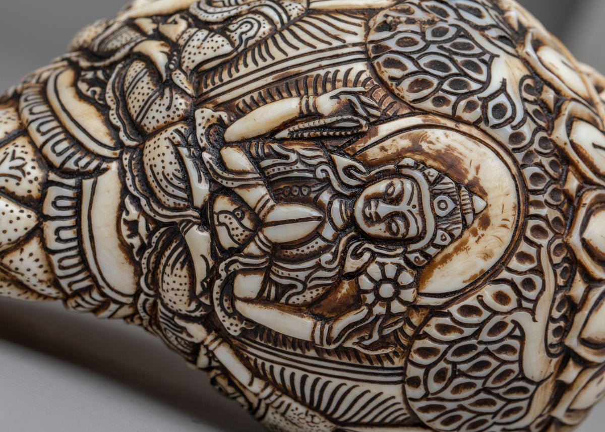 Tibetan Buddhist Sacred Conch | Meditation Tool