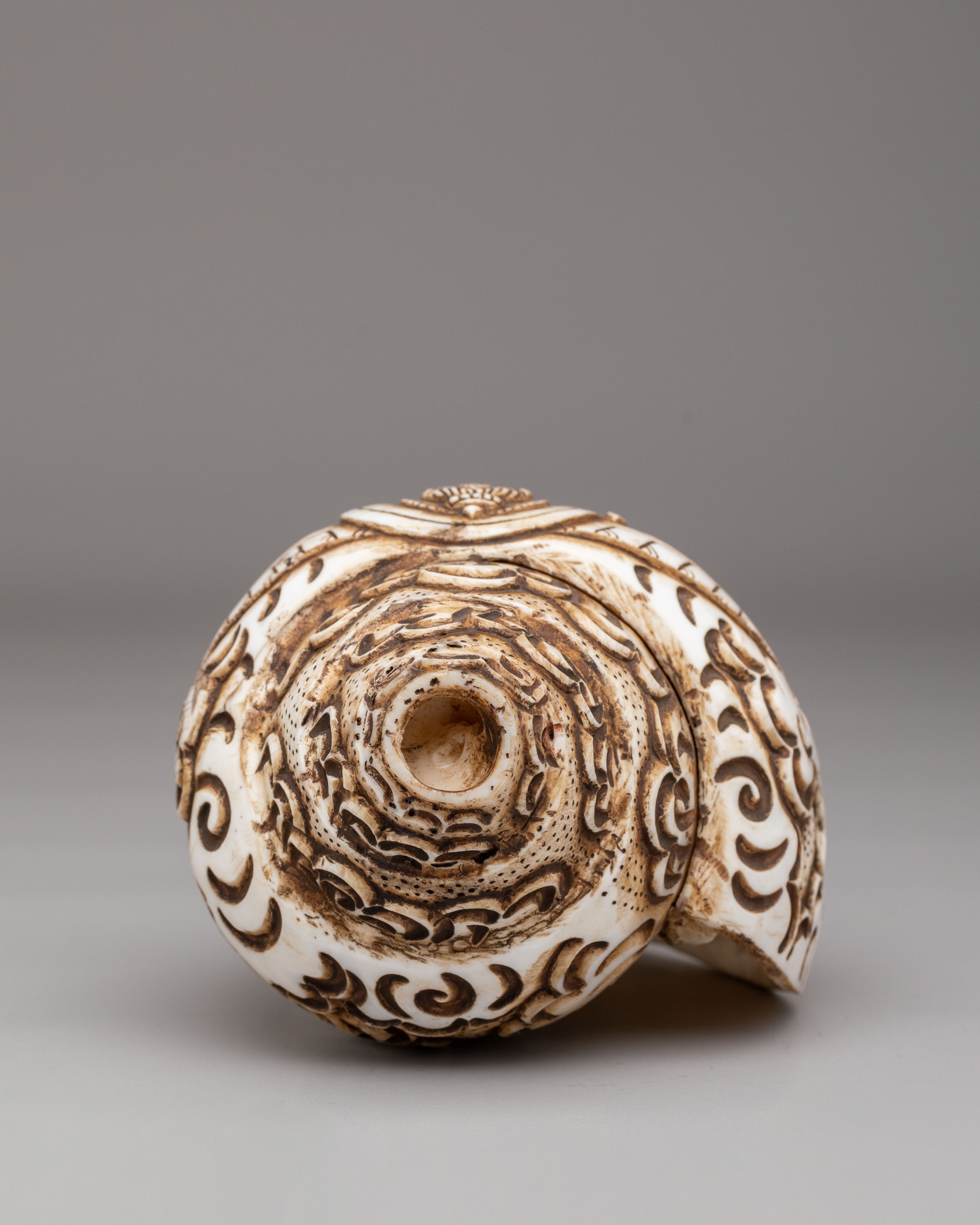 Saraswati Carved Conch | Artwork for Altar