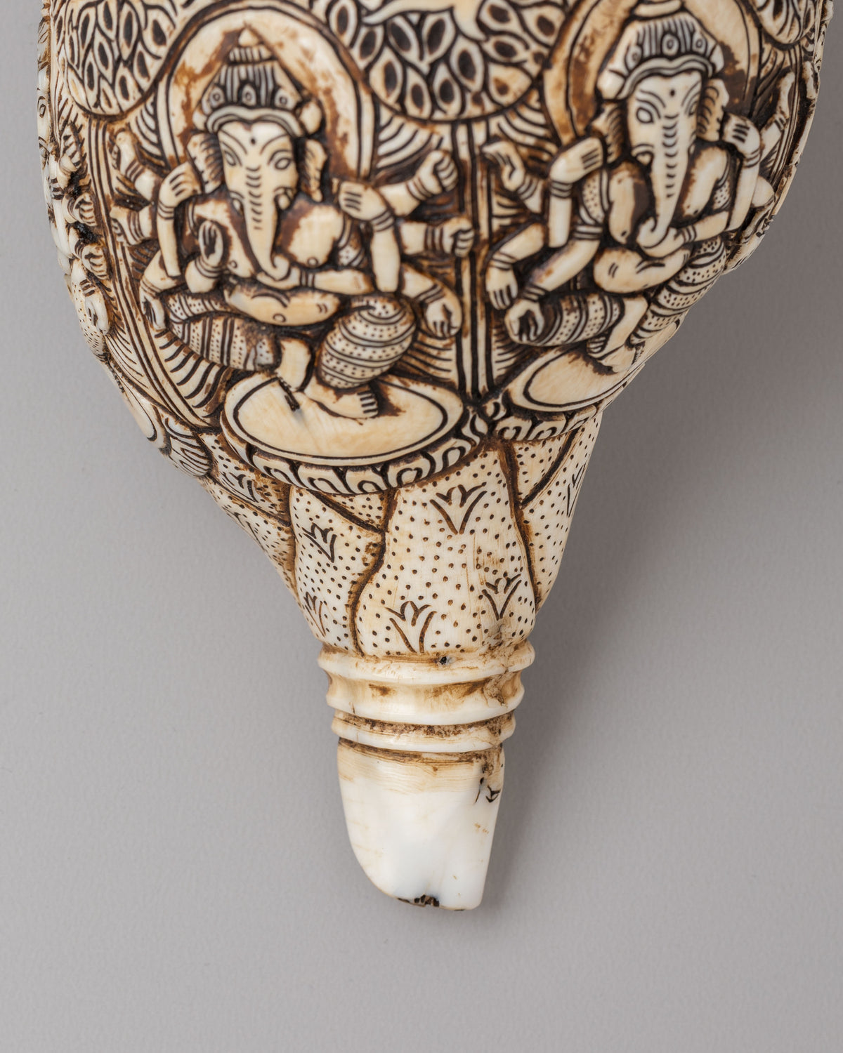 Himalayan Sacred Conch | Tibetan Ritual Conch Shell