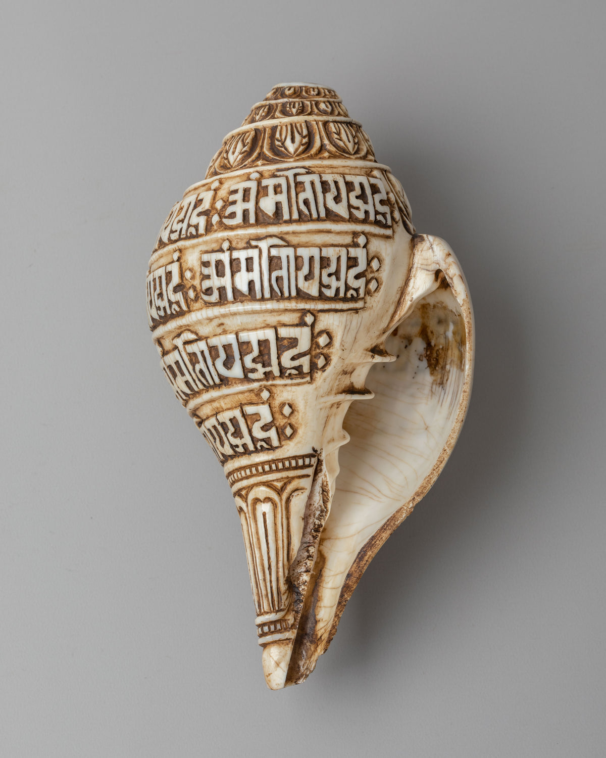 Sacred Mantra Conch | Handcrafted Tibetan Ritual Item