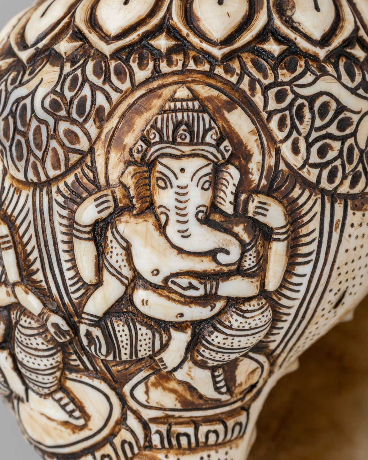 Himalayan Sacred Conch | Tibetan Ritual Conch Shell