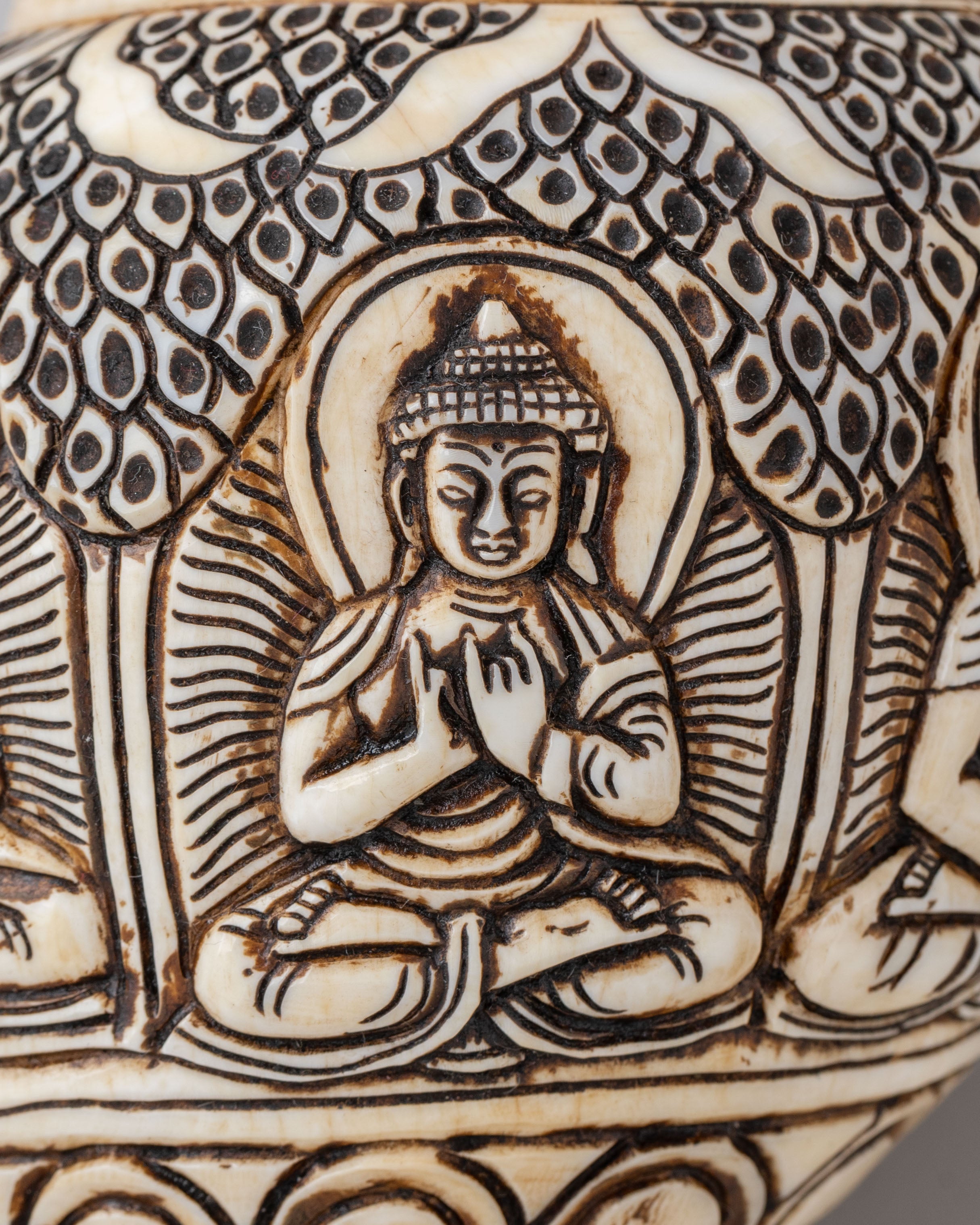Himalayan Buddhist Conch | Symbol of Dharma and Enlightenment