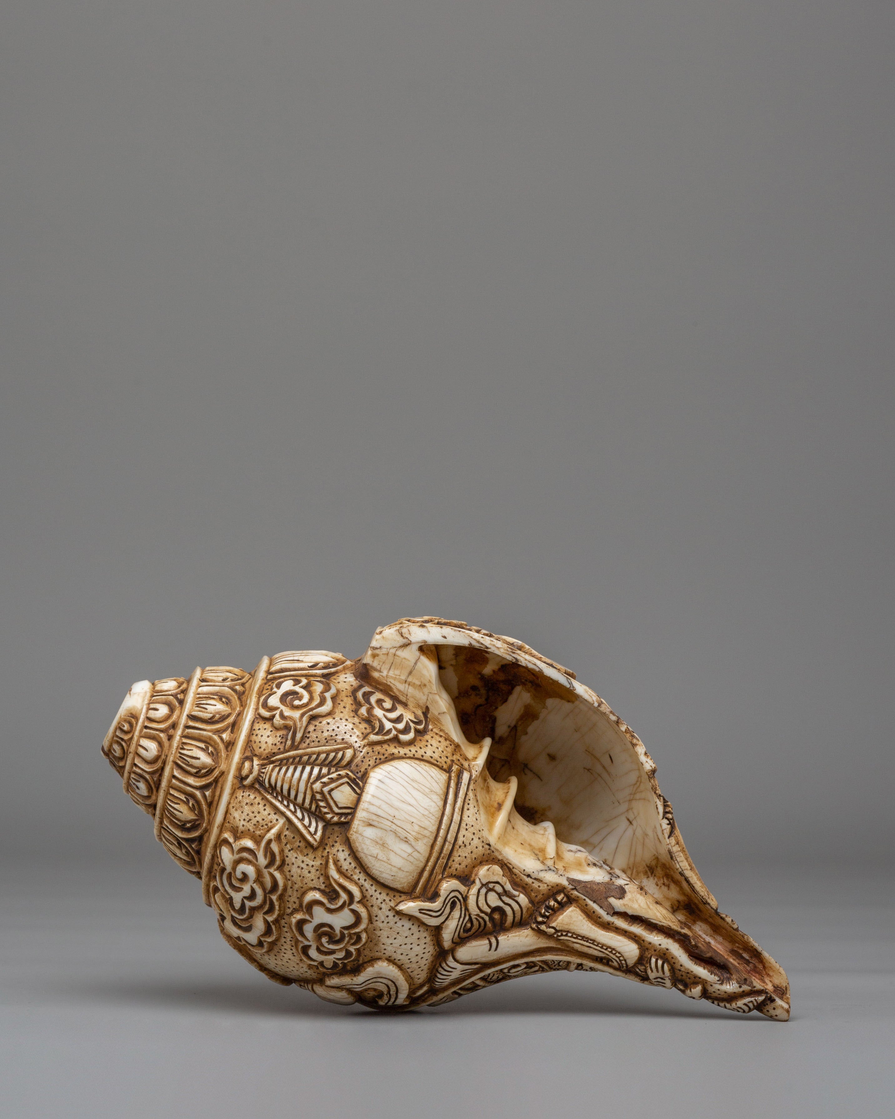 Wheel Of Life Conch | Tibetan Rituals and Altar Decor