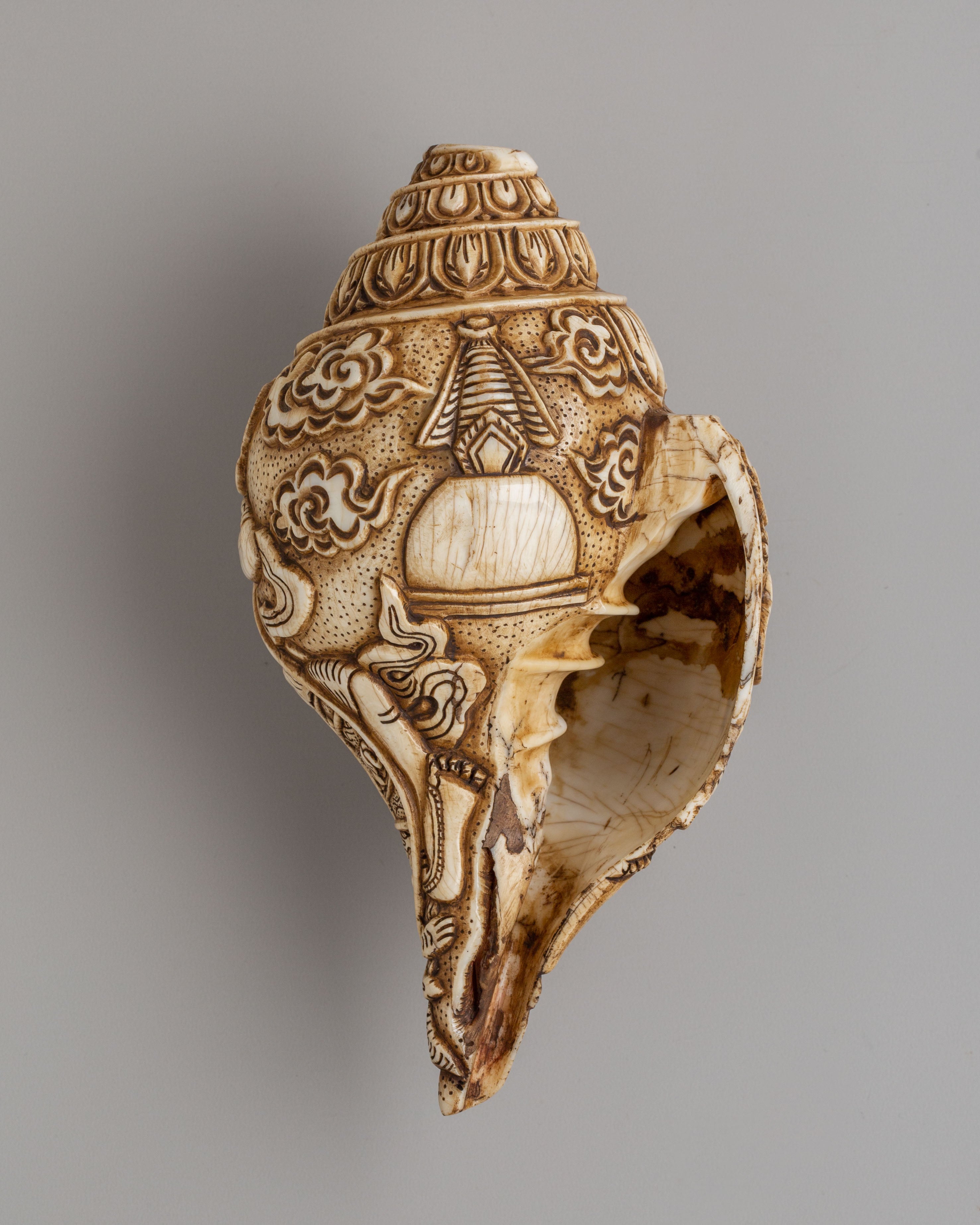Wheel Of Life Conch | Tibetan Rituals and Altar Decor