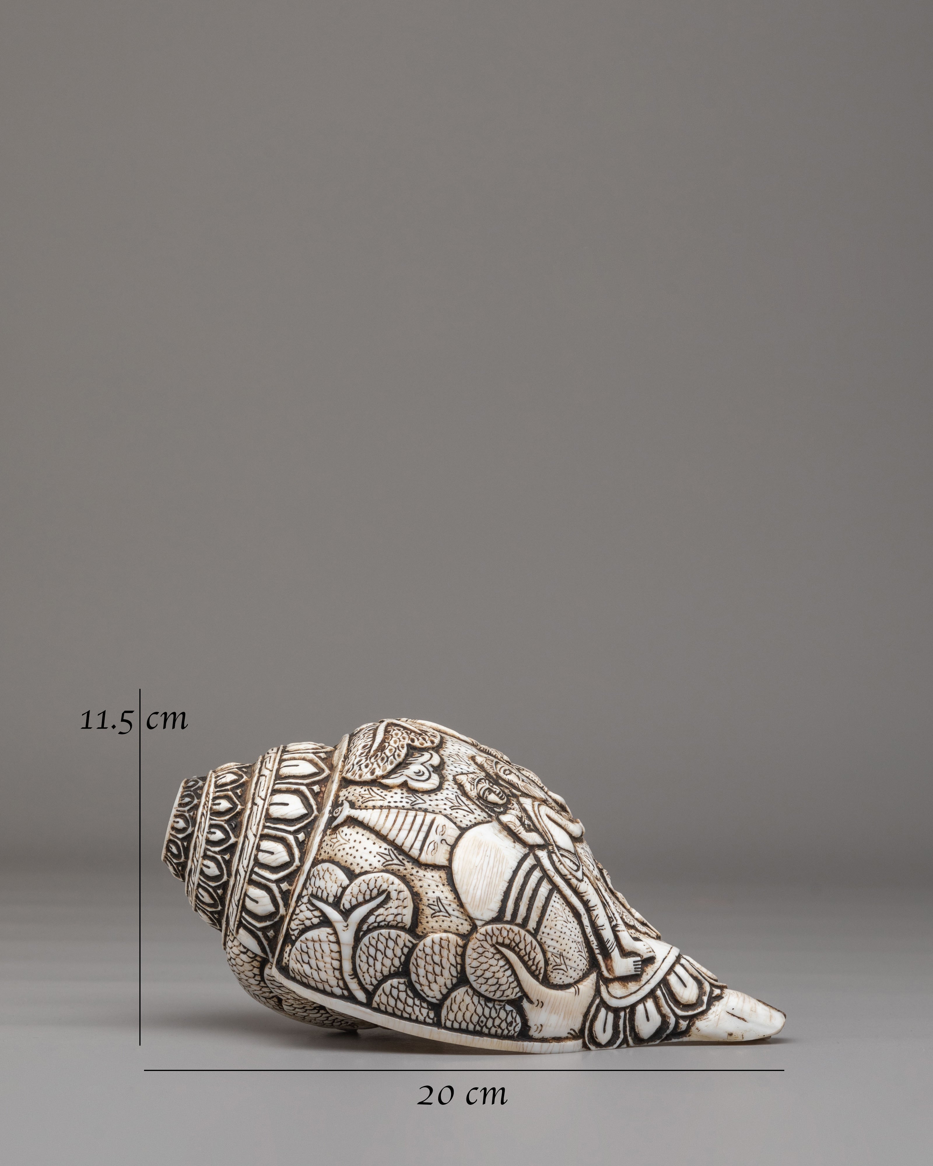 Handcrafted Conch for Ritual | Spiritual Decor