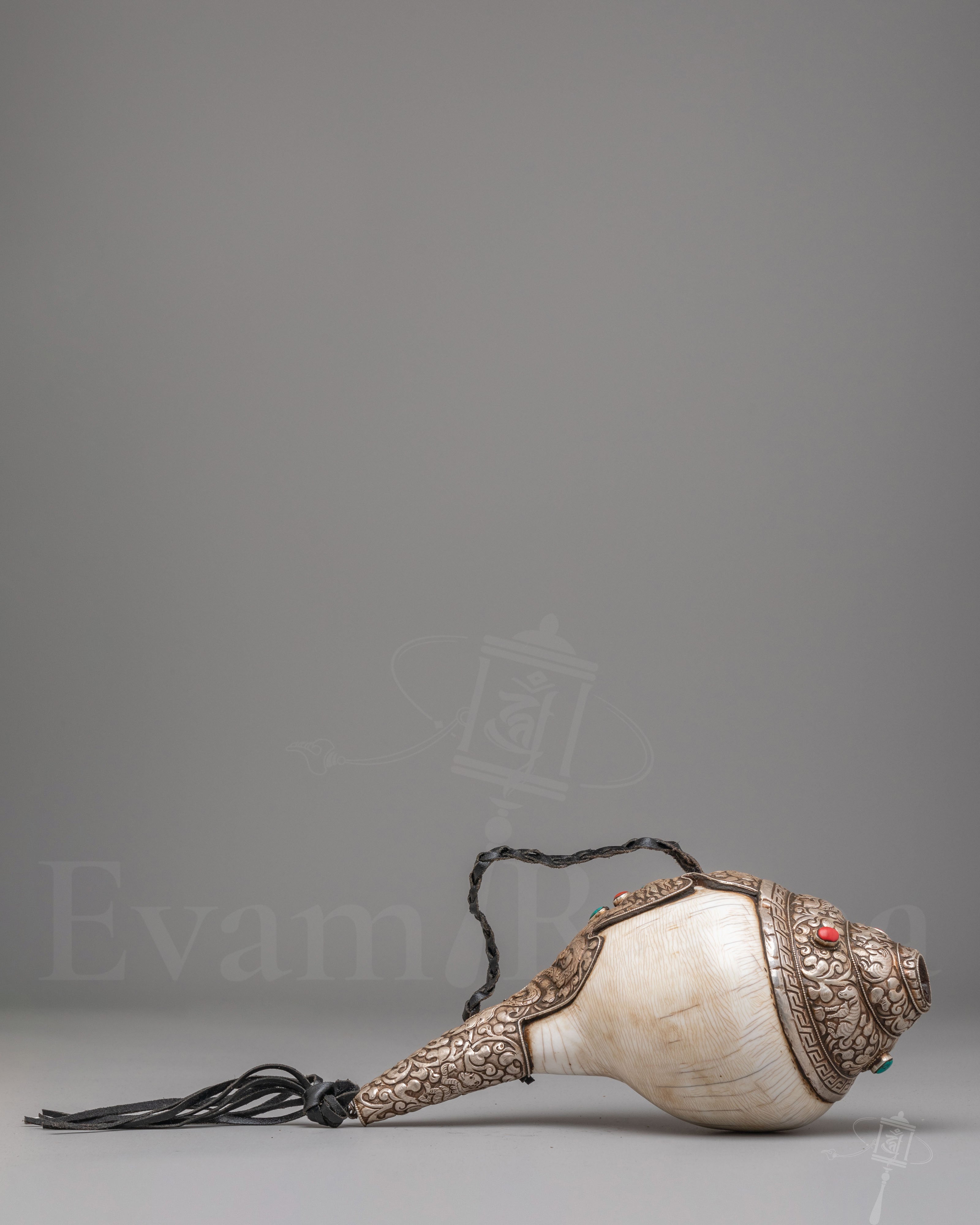 Traditional Dharma Conch Shell