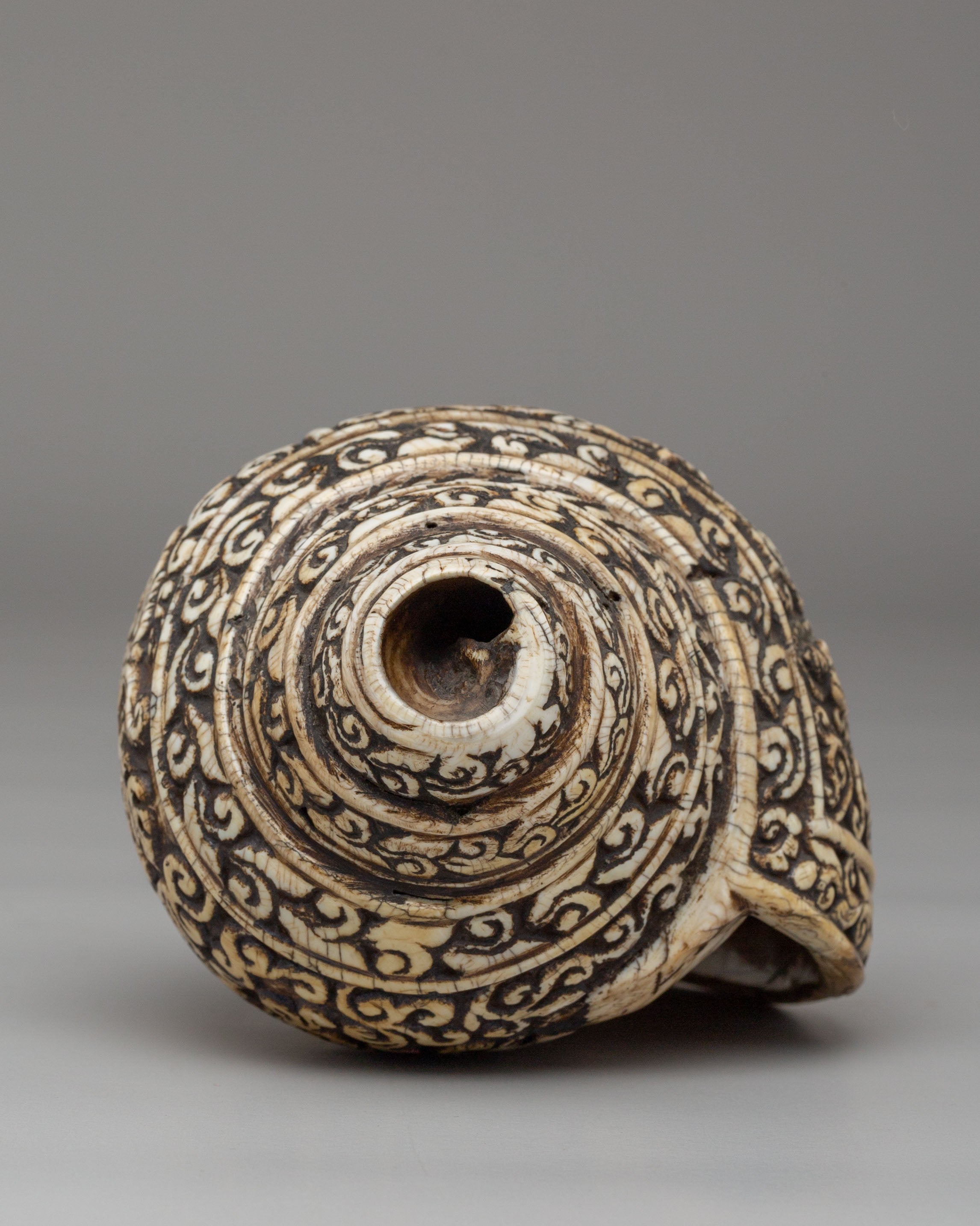 Spiritual Shakyamuni Buddha Conch | Sacred Symbol of Enlightenment