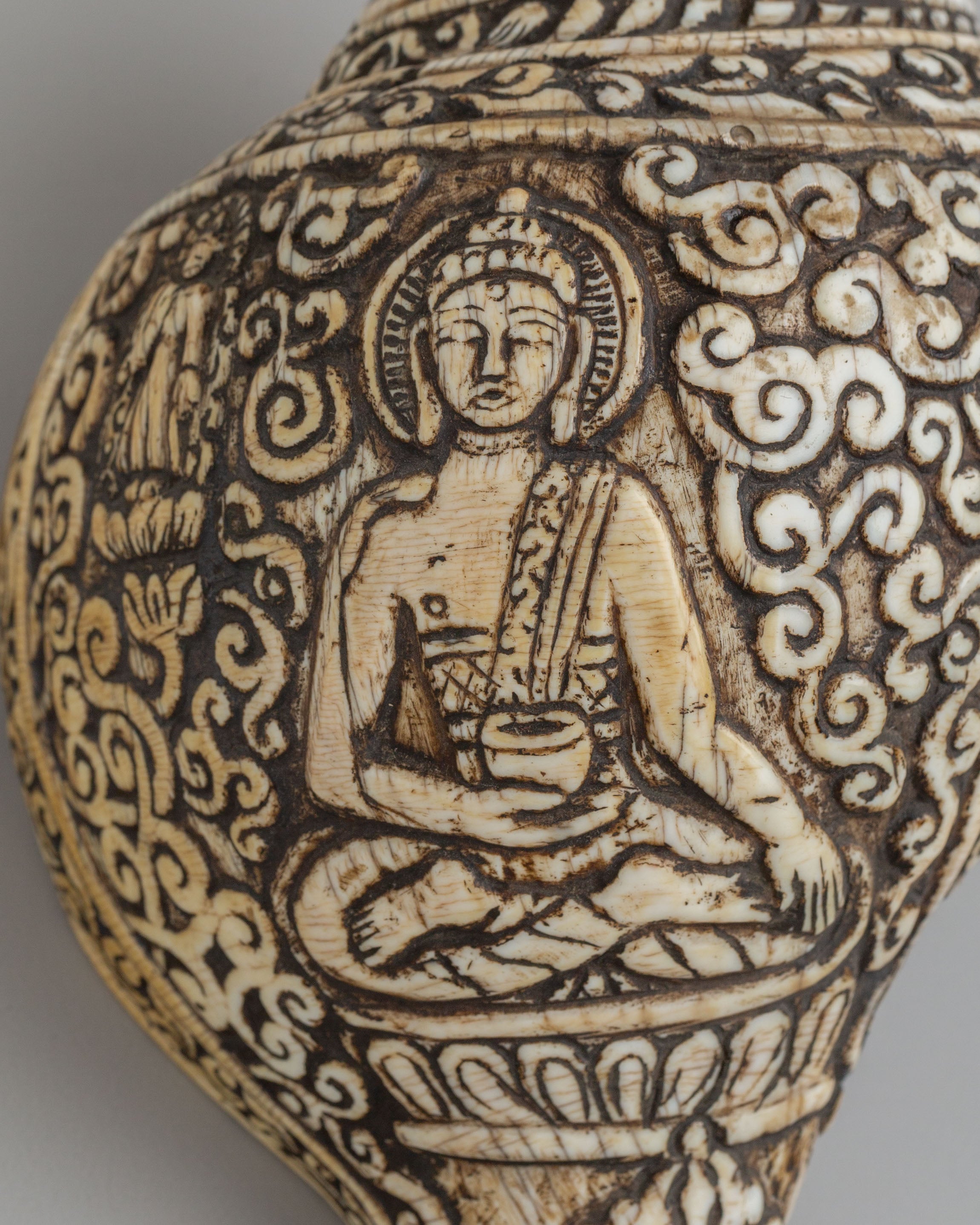Spiritual Shakyamuni Buddha Conch | Sacred Symbol of Enlightenment