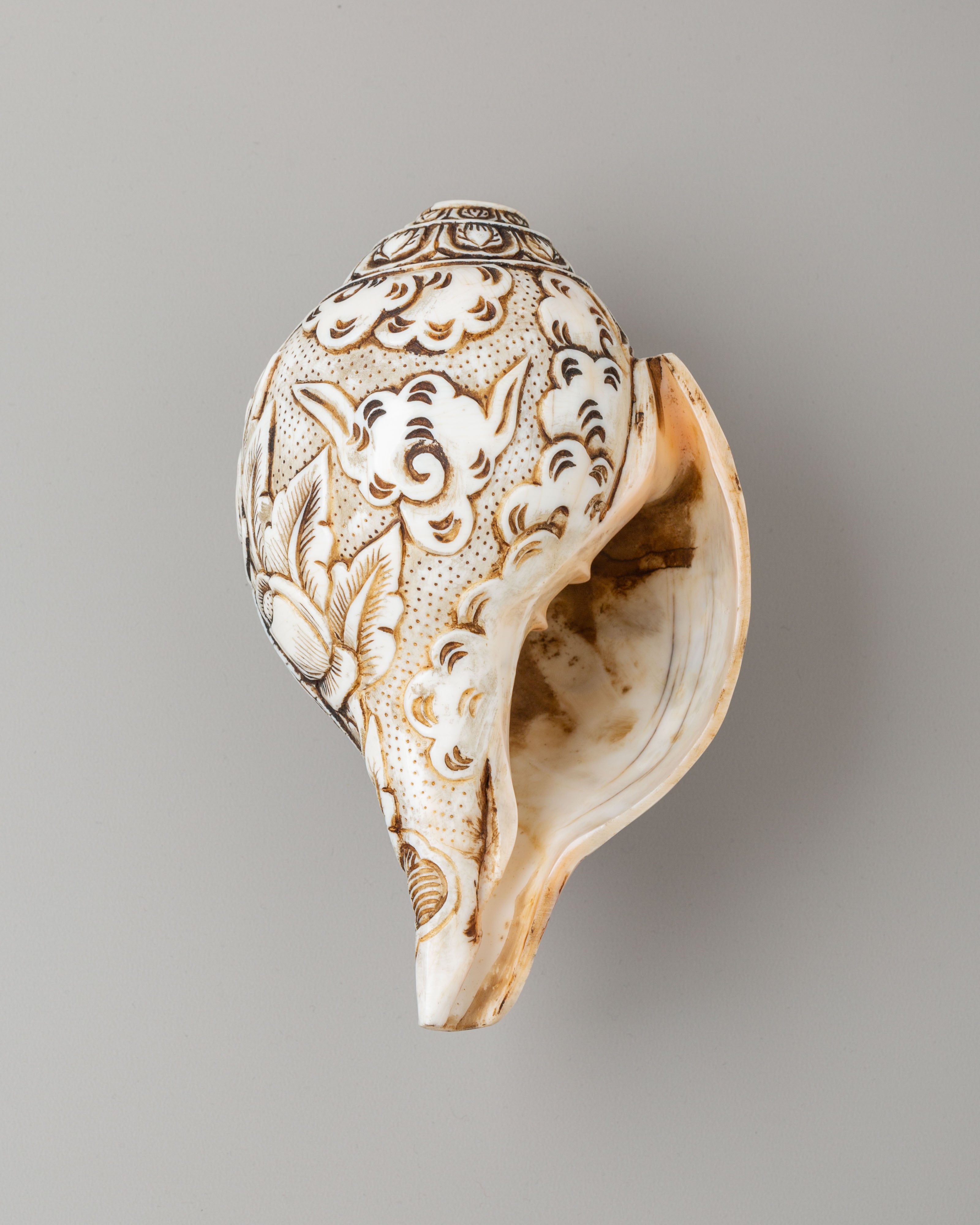 Auspicious Symbol Carved Conch | Perfect for Meditation & Spiritual Practices