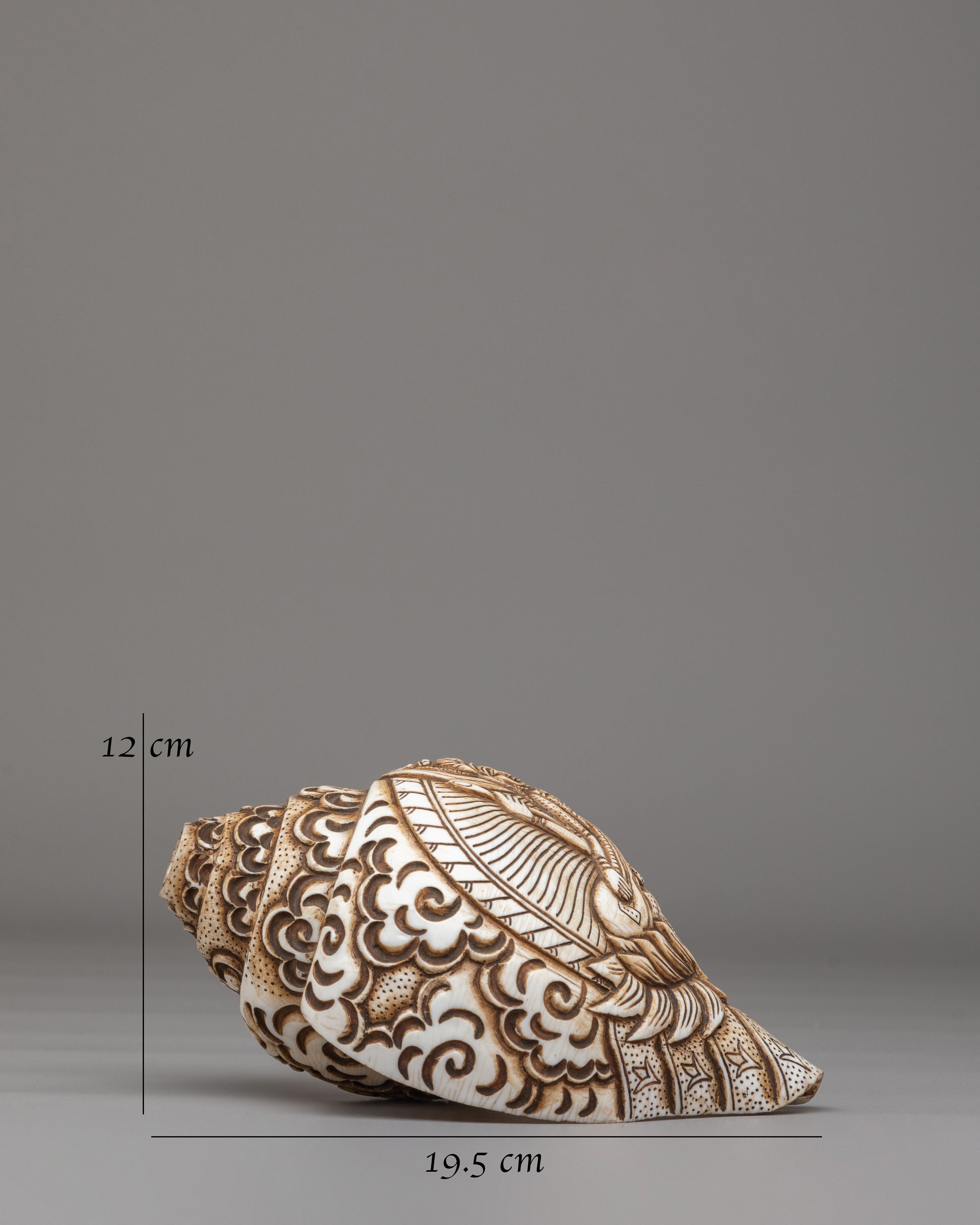 Saraswati Carved Conch | Artwork for Altar