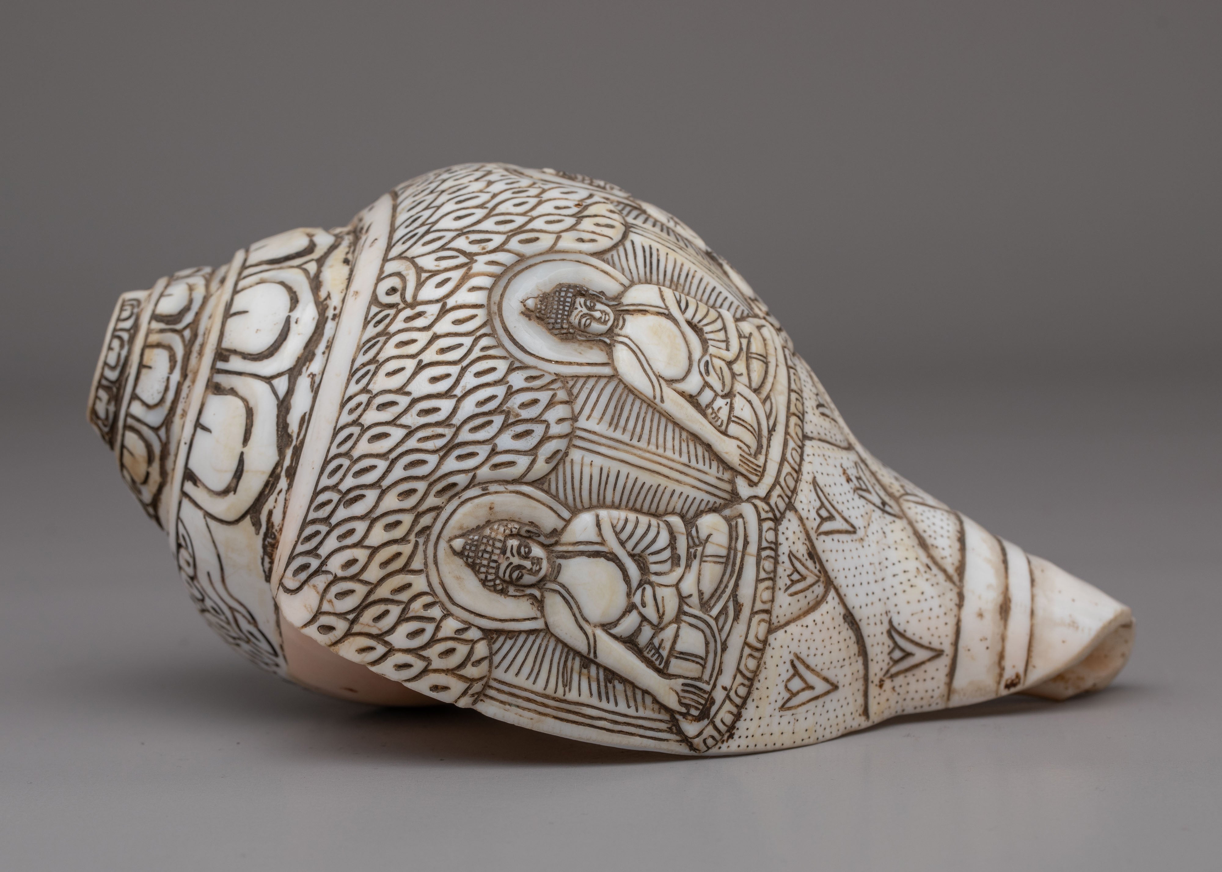 Dhyani Buddha Engraved Conch | Perfect for Rituals