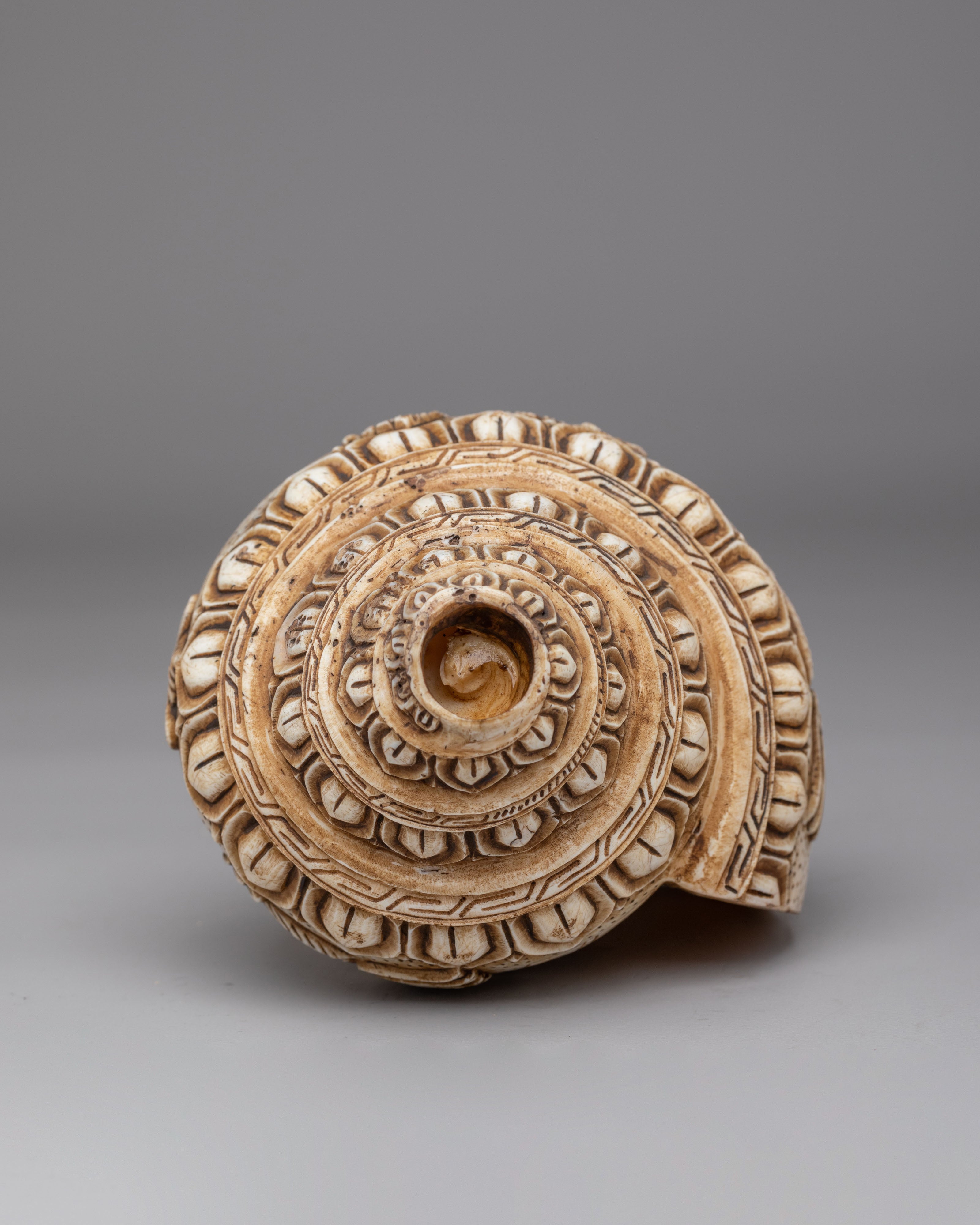 Handcarved Ritual Conch | Sacred Buddhist Artifact